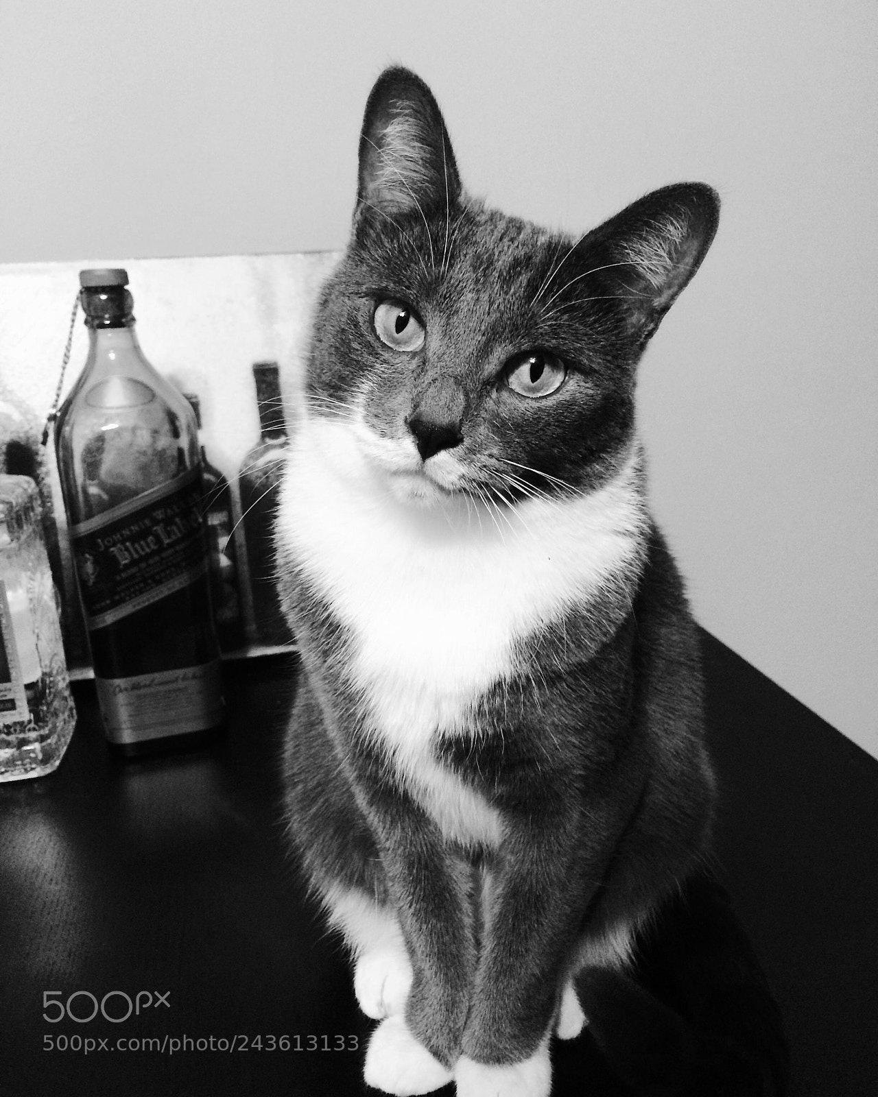 Apple iPhone 5s sample photo. Untitled photography