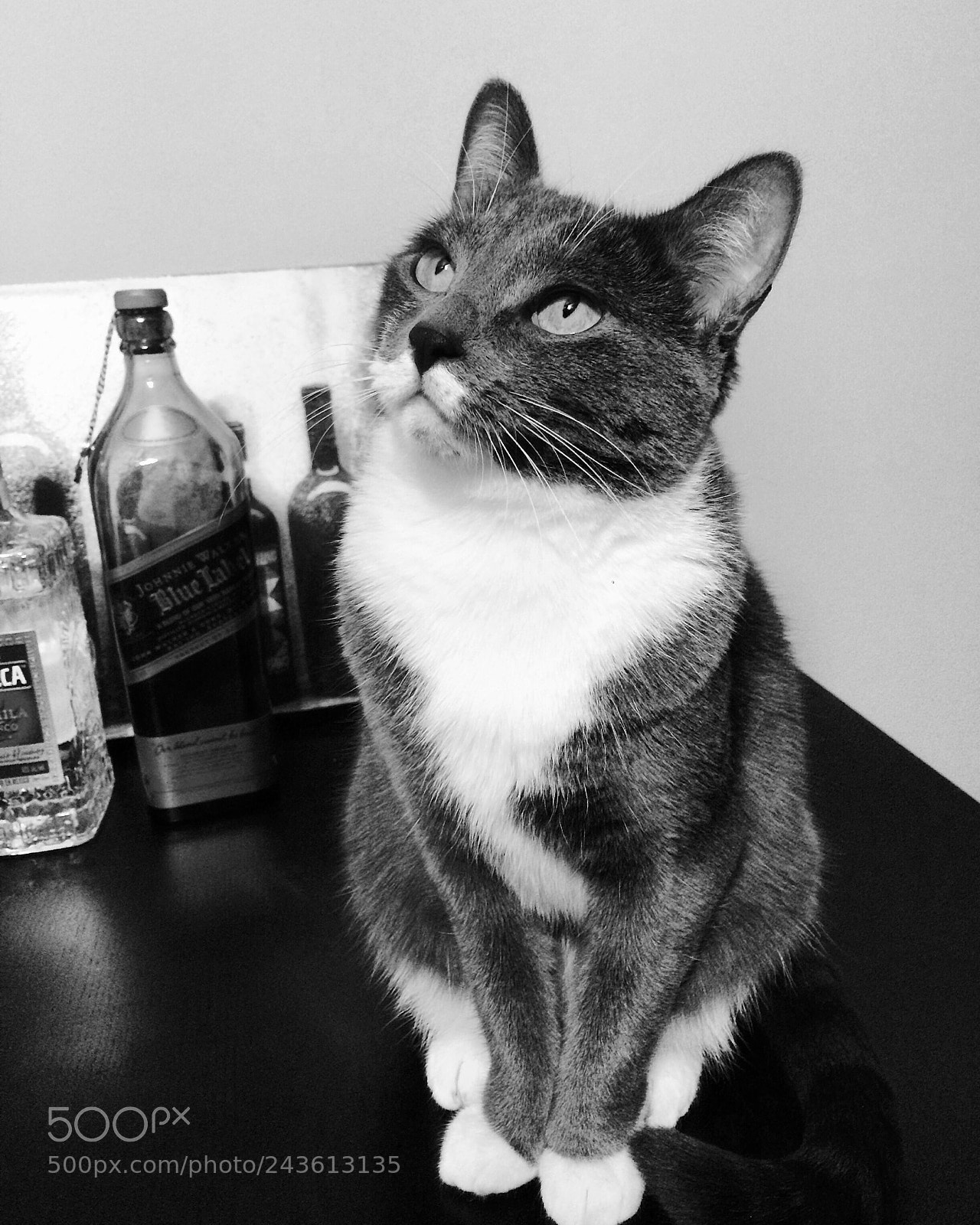 Apple iPhone 5s sample photo. Untitled photography