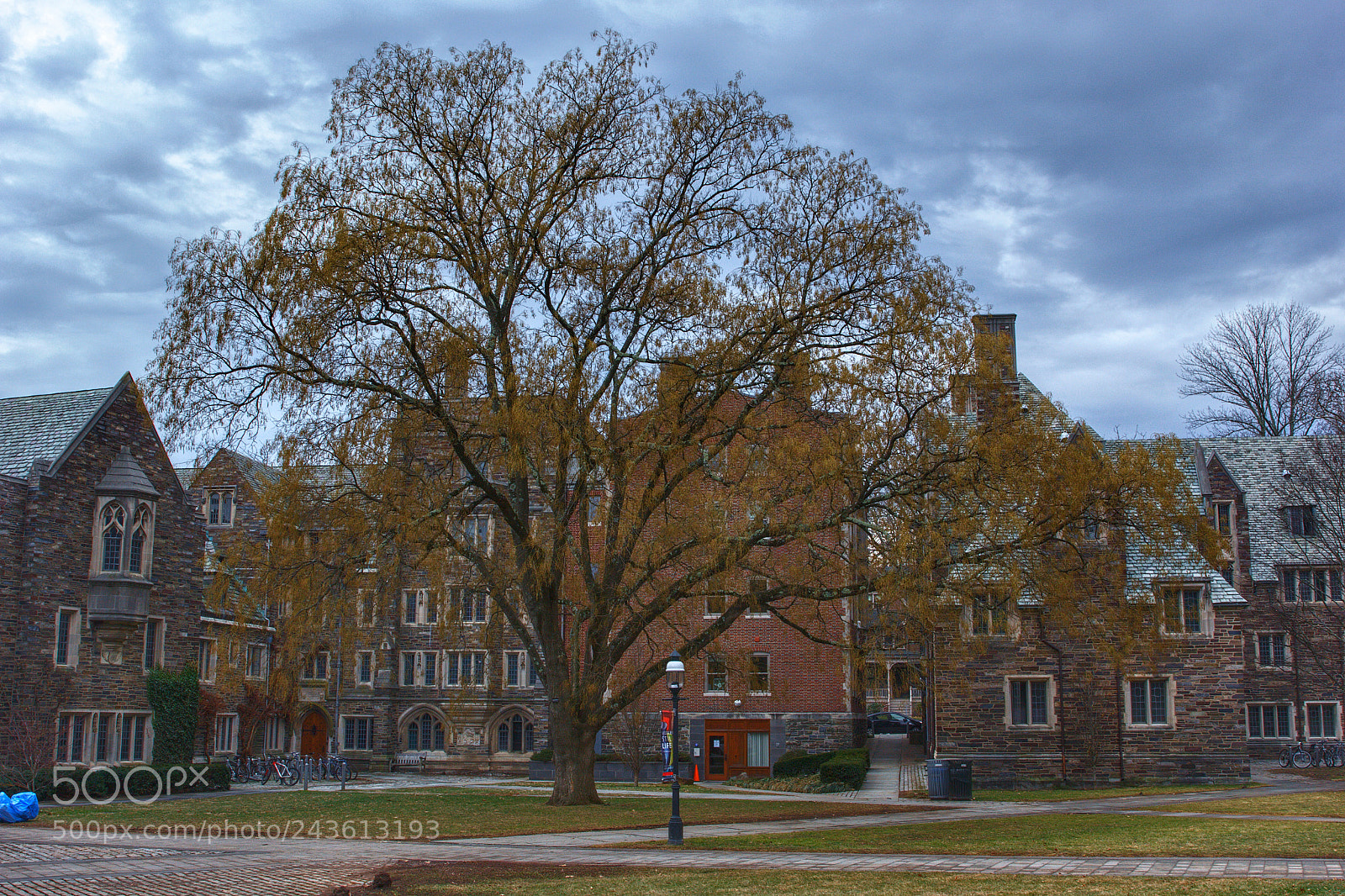 Canon EOS 60D sample photo. Princeton photography