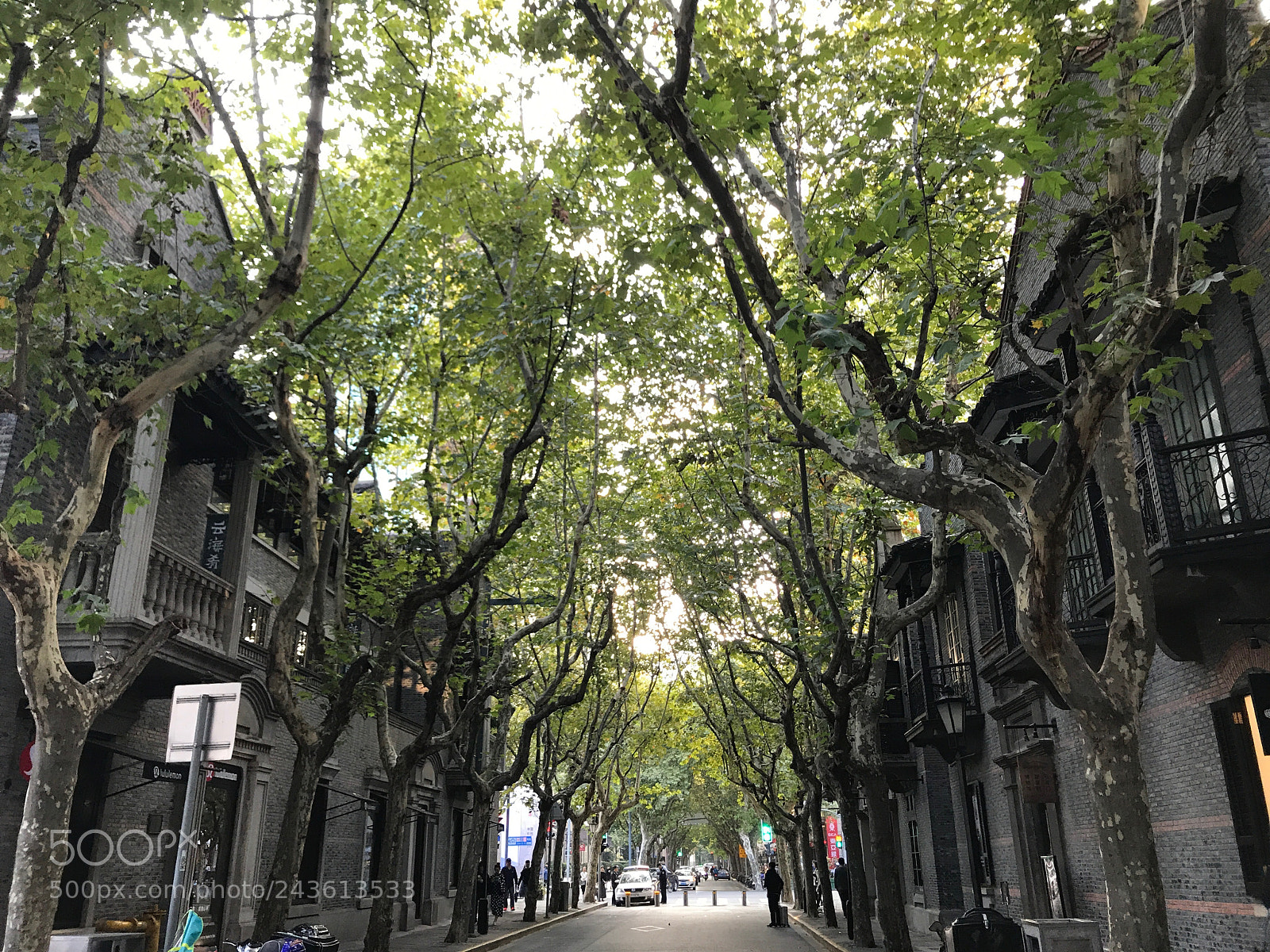 Apple iPhone 7 sample photo. Shanghai china photography