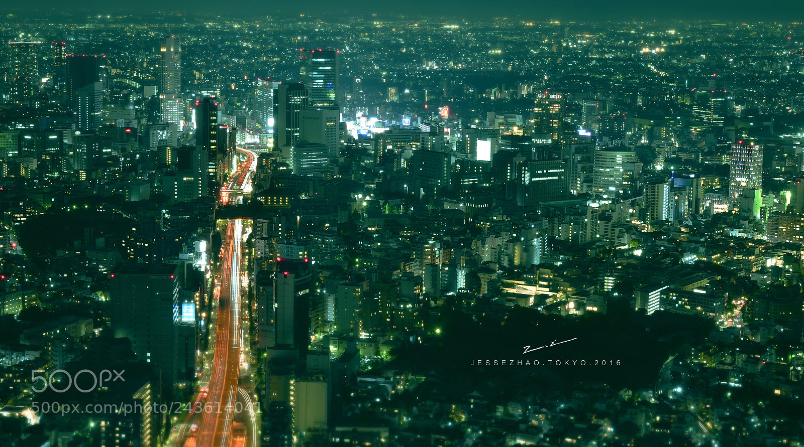 Nikon D800 sample photo. Artery photography