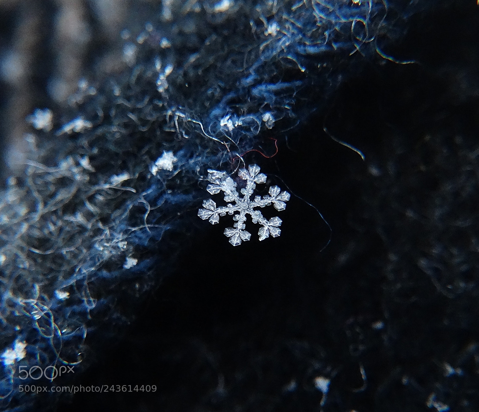 Sony Cyber-shot DSC-HX300 sample photo. Snow photography