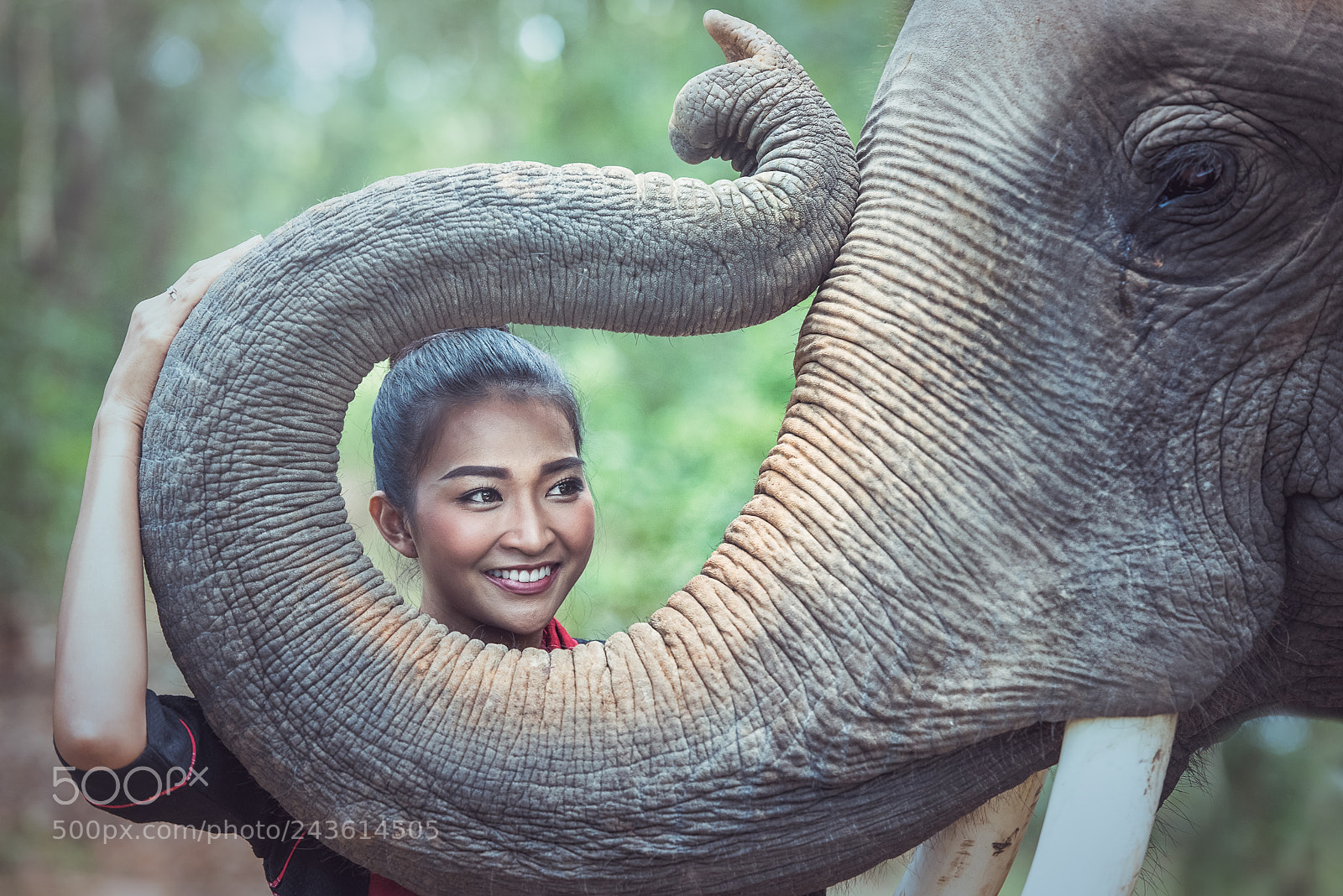 Nikon D810 sample photo. Beautiful woman wearing thai photography