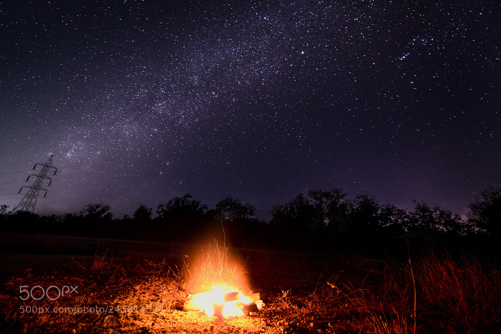Nikon D800E sample photo. Night sky photography