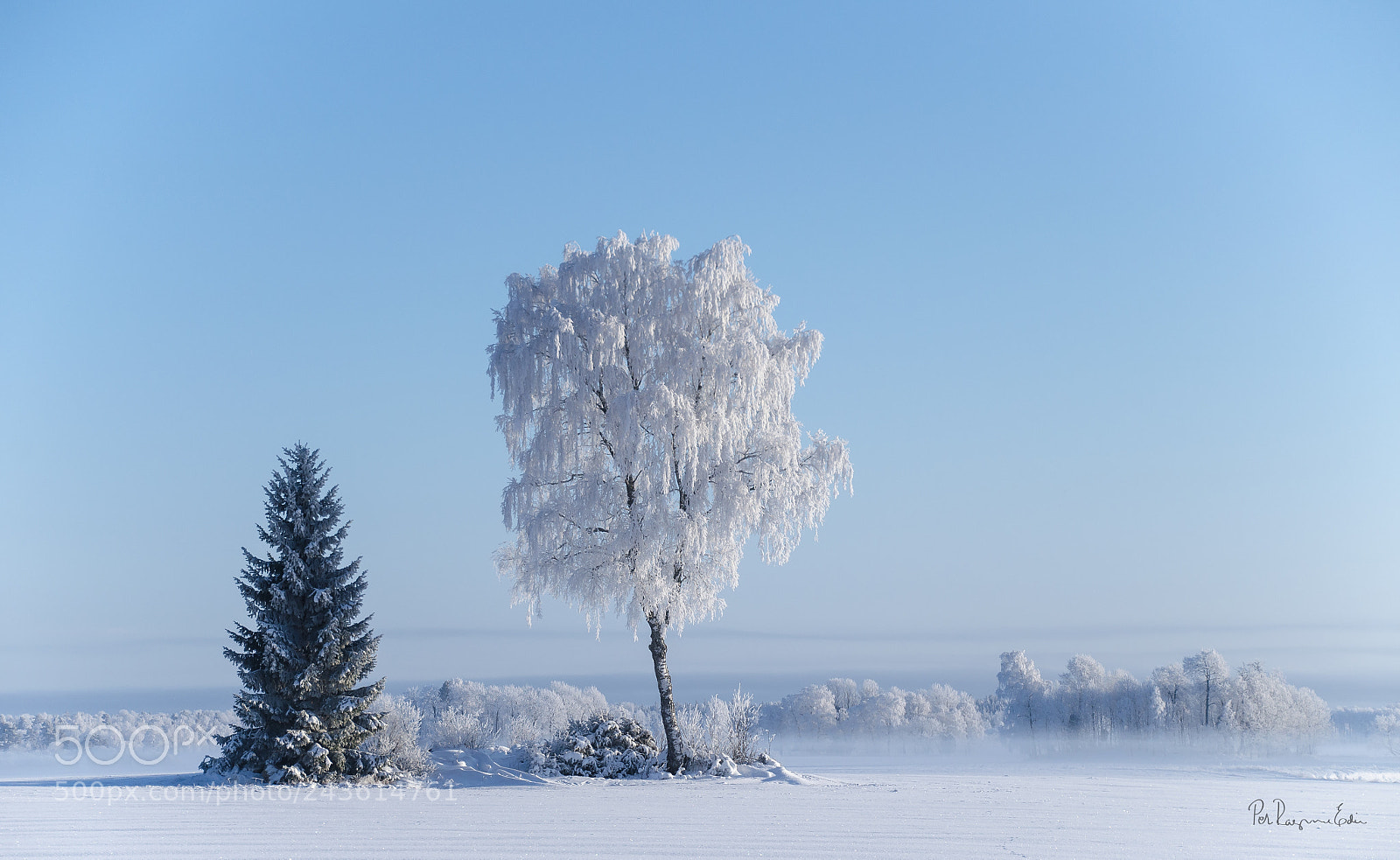 Nikon D5100 sample photo. A cold day photography