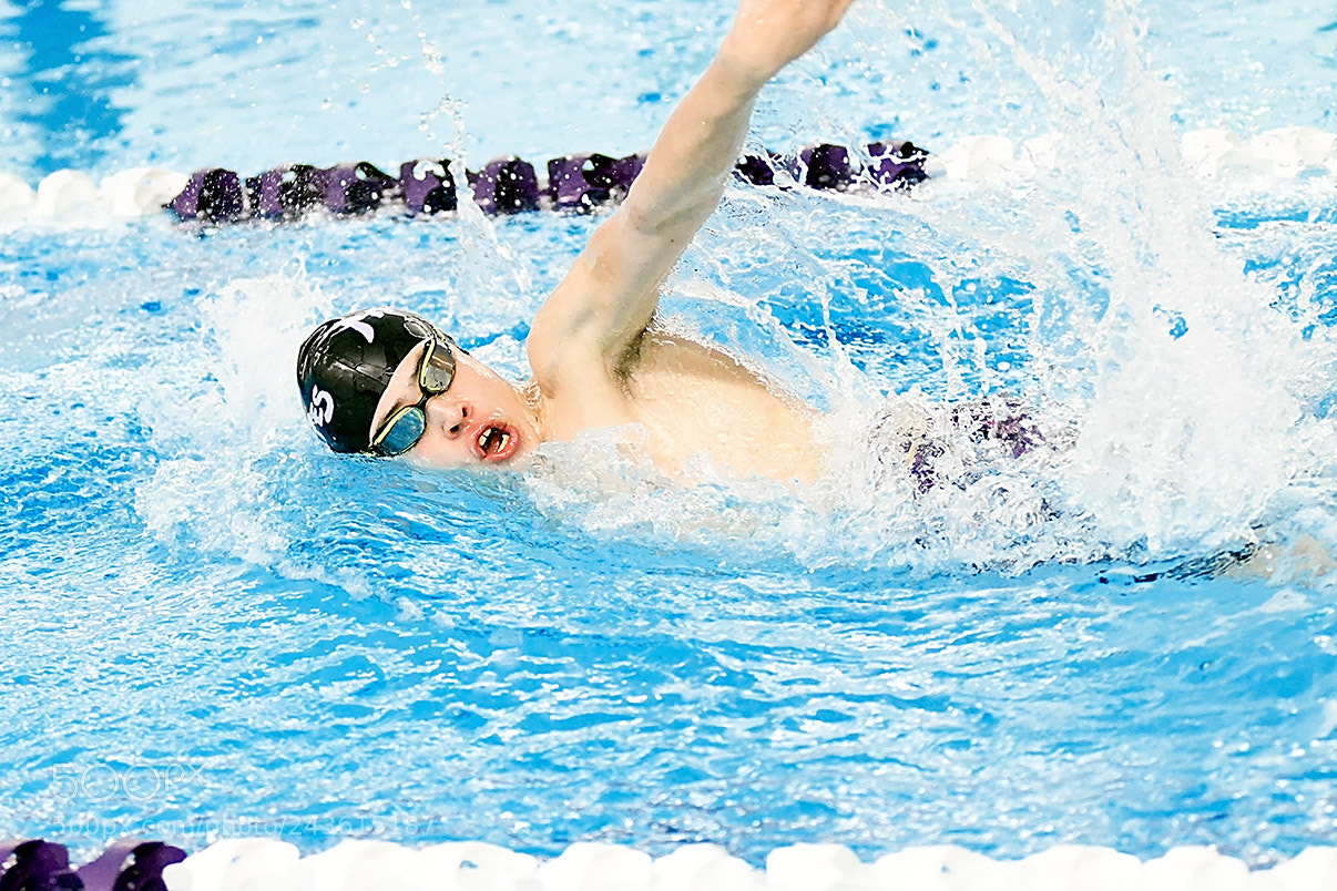 Nikon D500 sample photo. 1-18_1376.jpg photography
