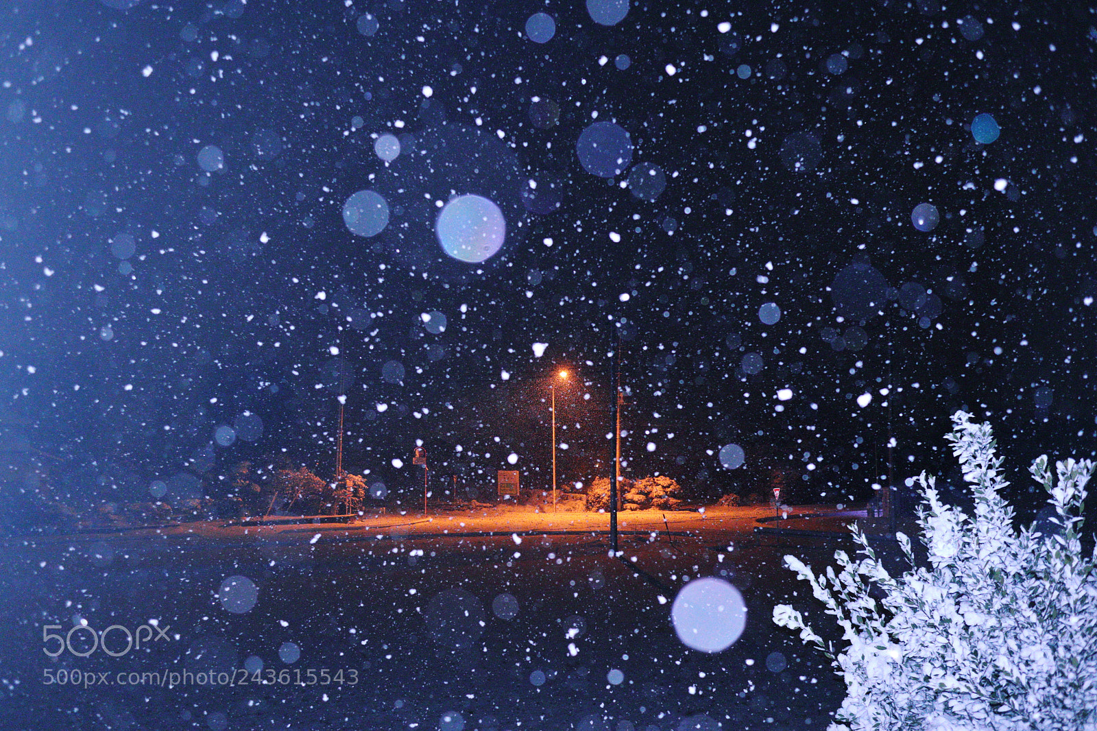 Canon EOS M5 sample photo. Untitled photography
