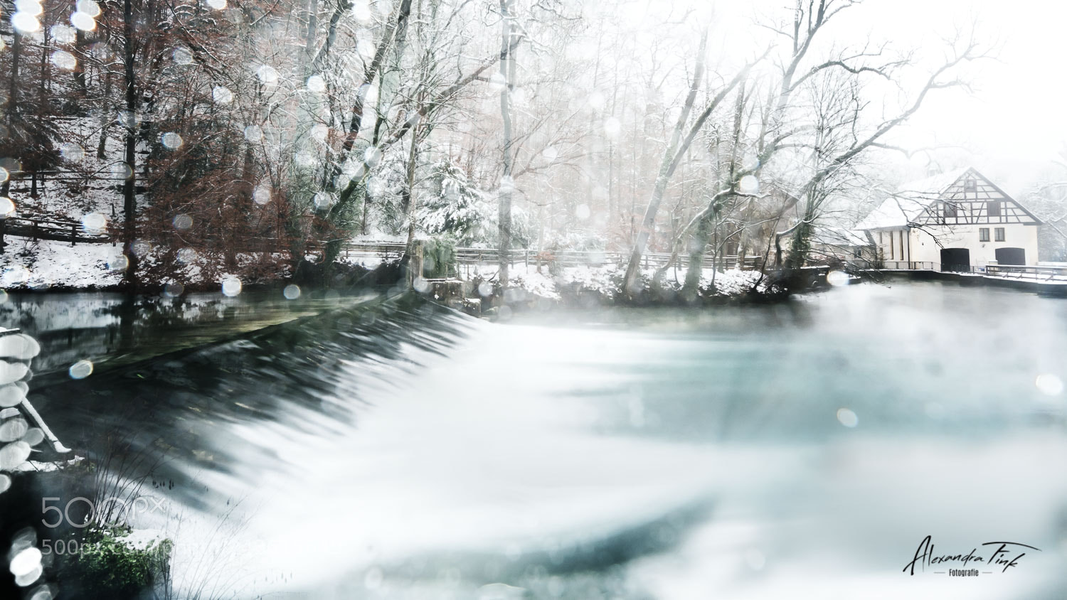 Nikon D850 sample photo. Winter with snow iii photography