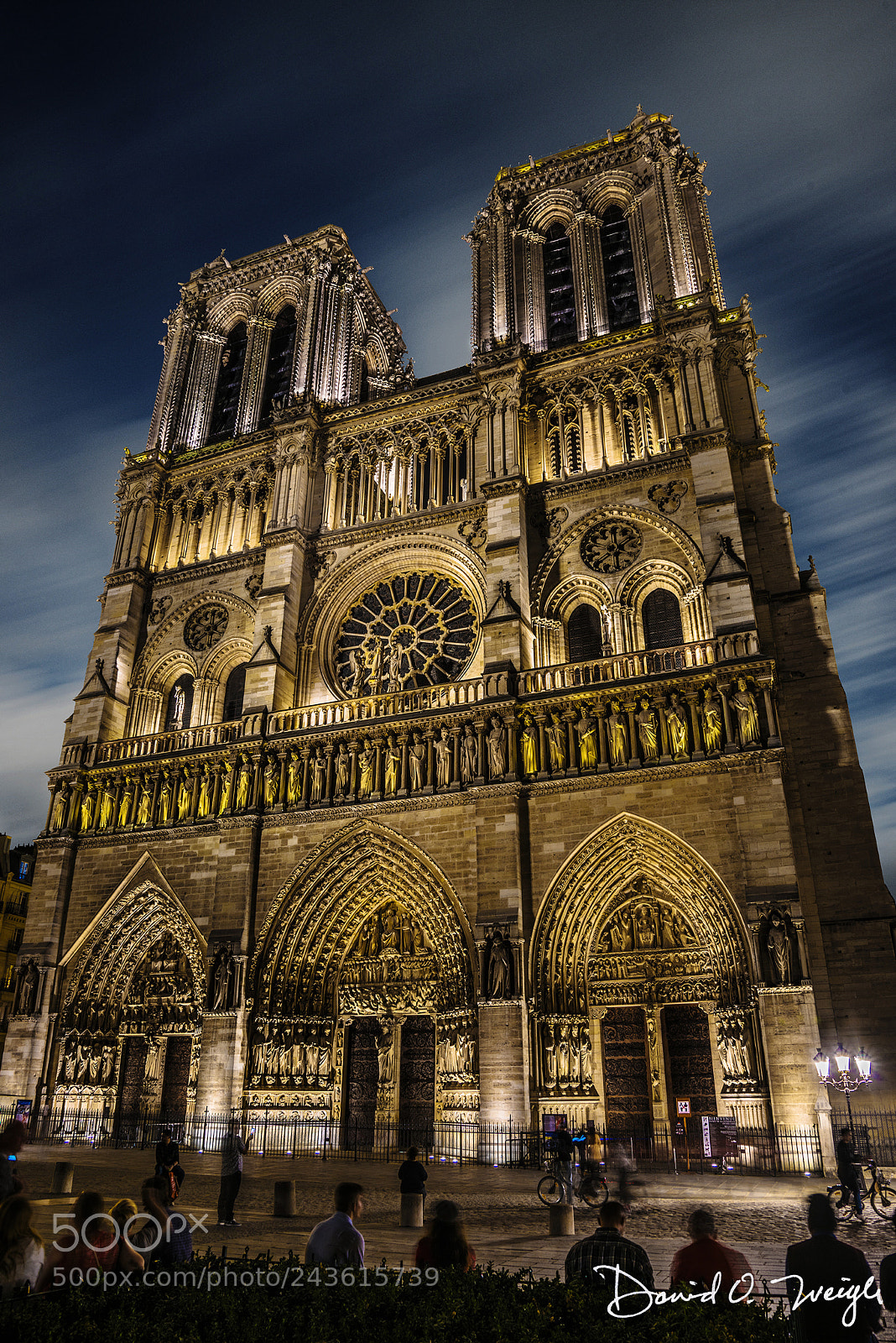 Nikon D810 sample photo. Notre dame night photography