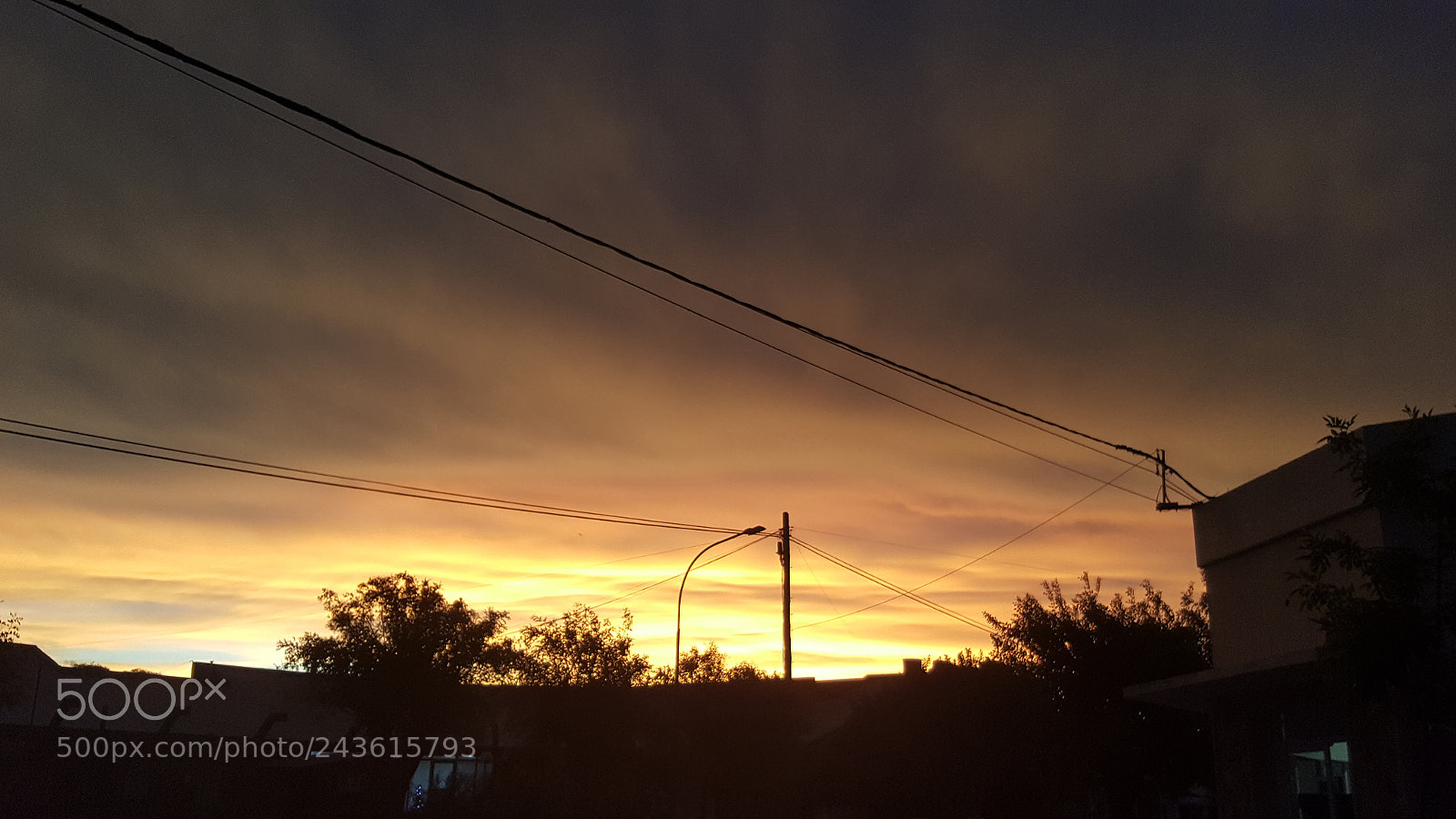 Samsung Galaxy Note5 sample photo. Untitled photography