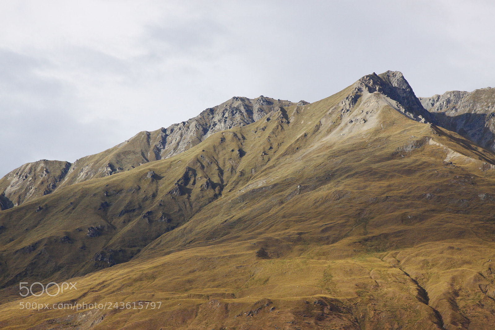Canon EOS 50D sample photo. Mount aspiring national park photography