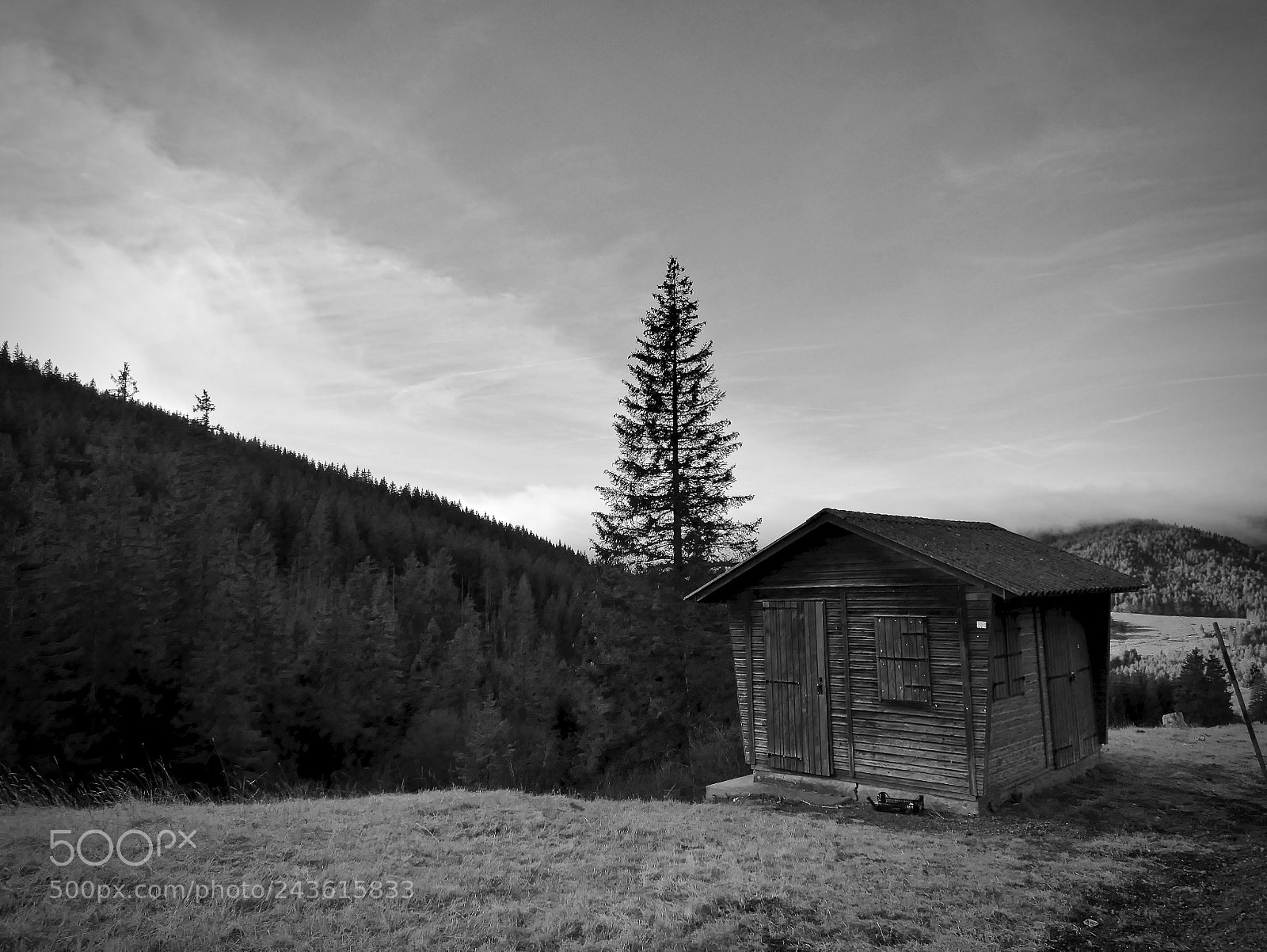 Leica D-Lux (Typ 109) sample photo. A wooden shack photography