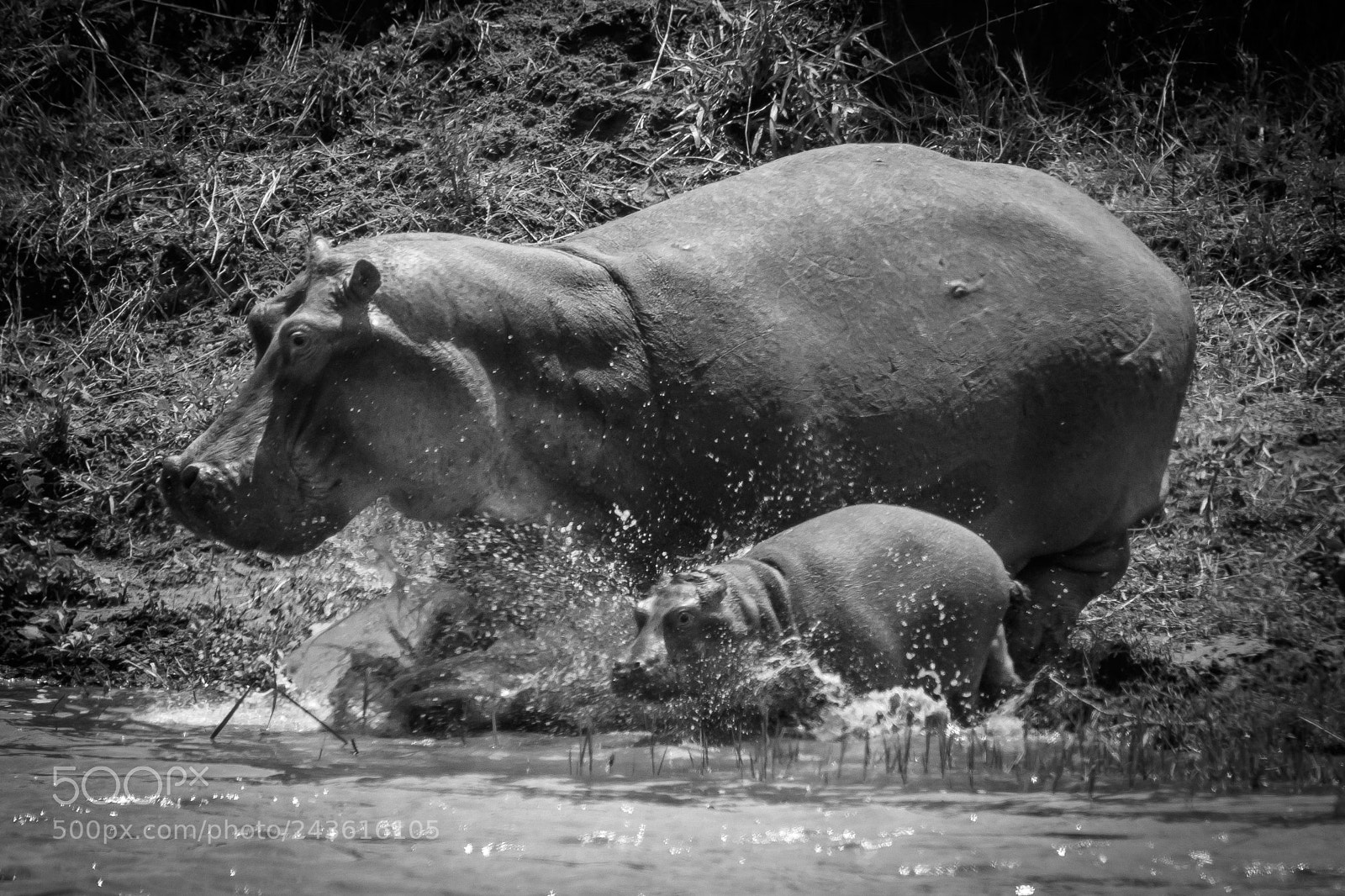 Canon EOS 7D Mark II sample photo. Tanzania - serengeti photography