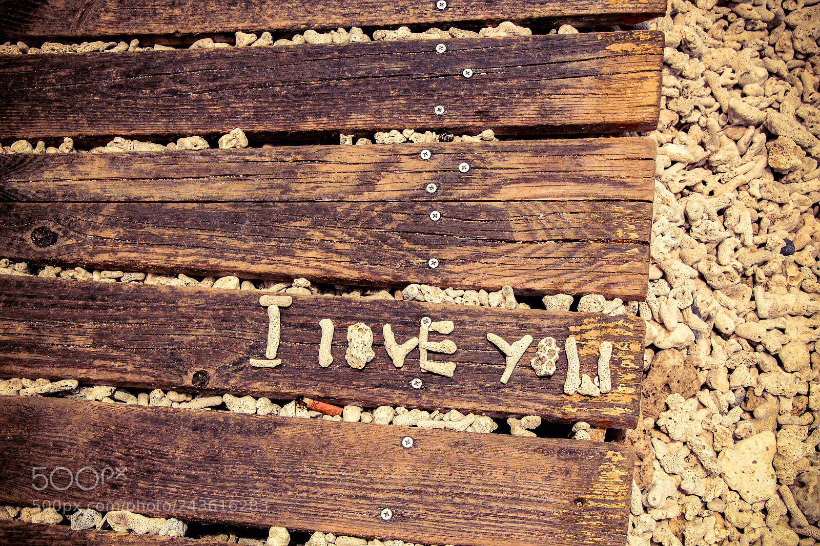 Canon EOS 650D (EOS Rebel T4i / EOS Kiss X6i) sample photo. I love you photography