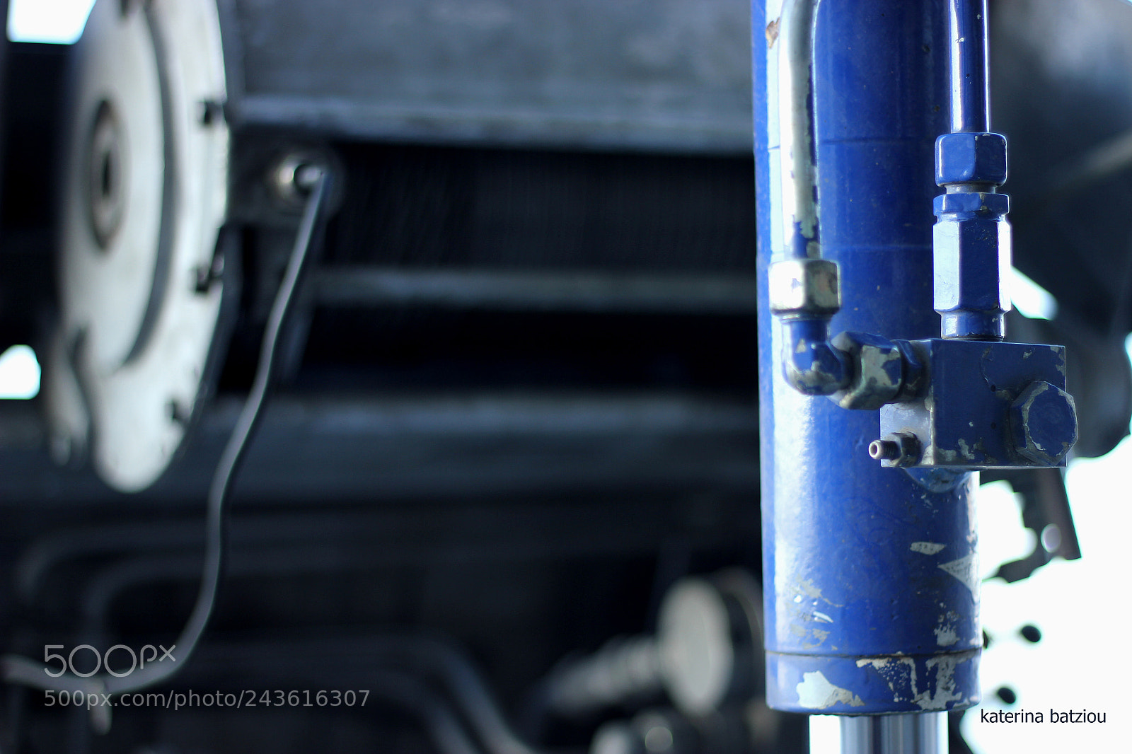 Canon EOS 550D (EOS Rebel T2i / EOS Kiss X4) sample photo. Rapsody in blue photography
