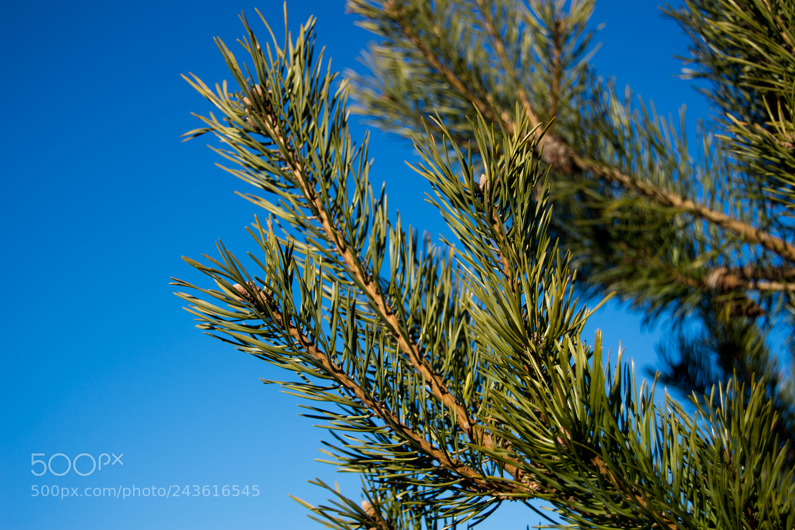 Nikon D3200 sample photo. 6 photography