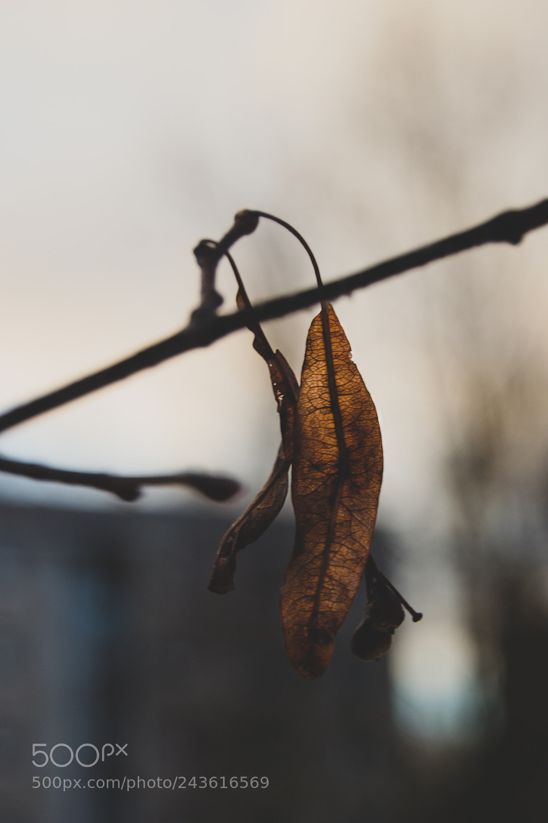 Nikon D3200 sample photo. 3 photography