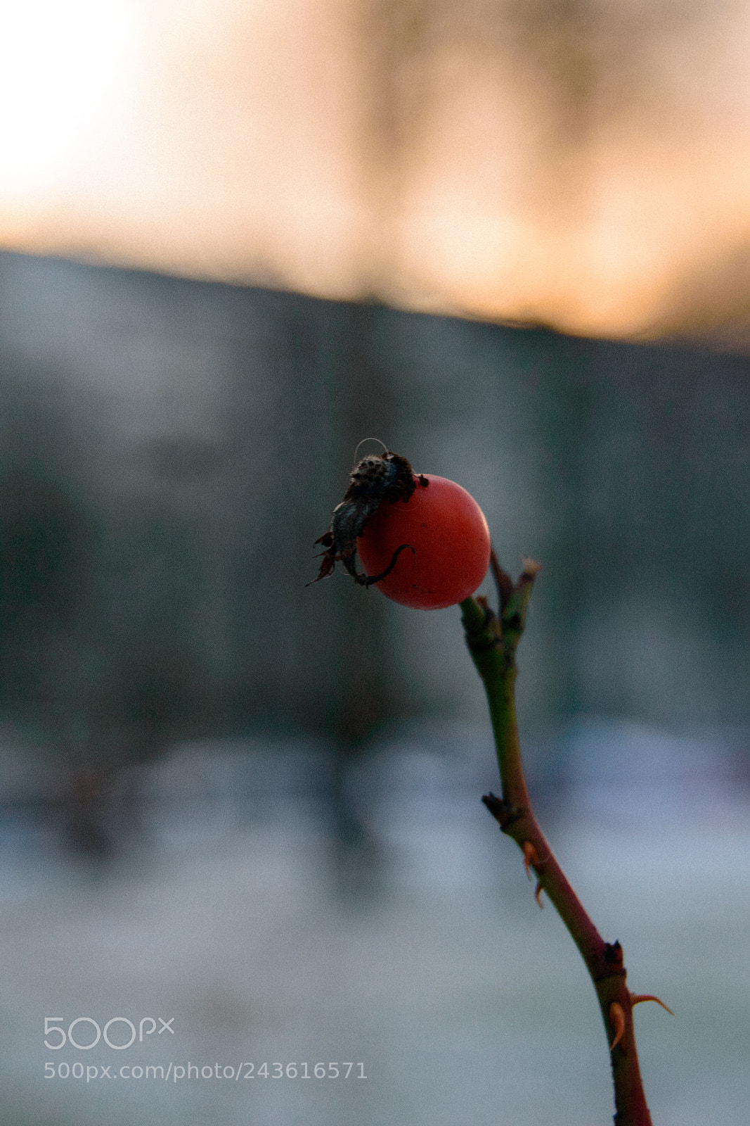 Nikon D3200 sample photo. 2 photography