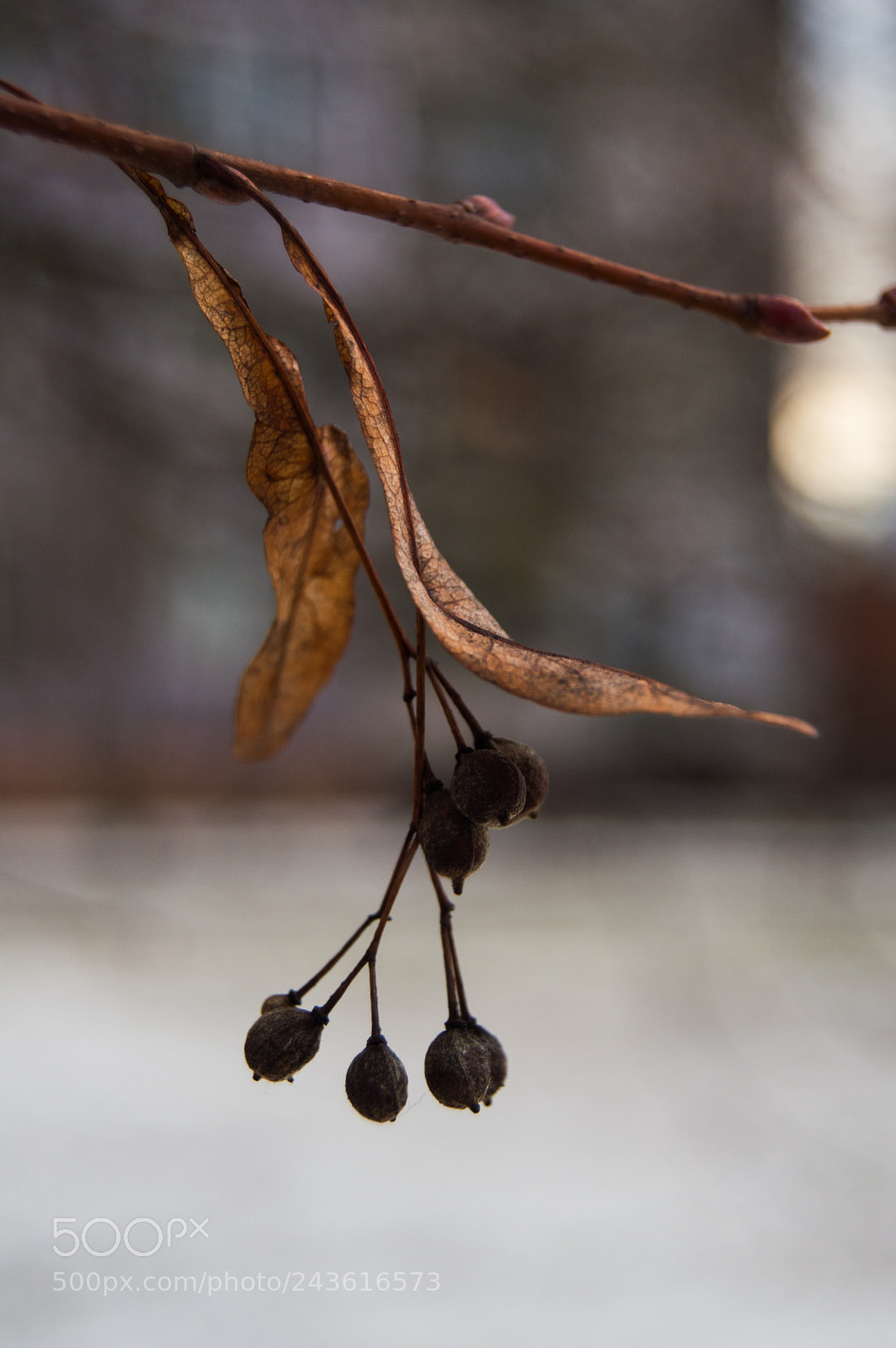 Nikon D3200 sample photo. 1 photography