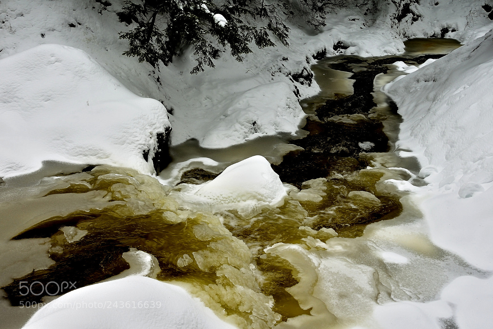 Nikon 1 J5 sample photo. Winter brook photography