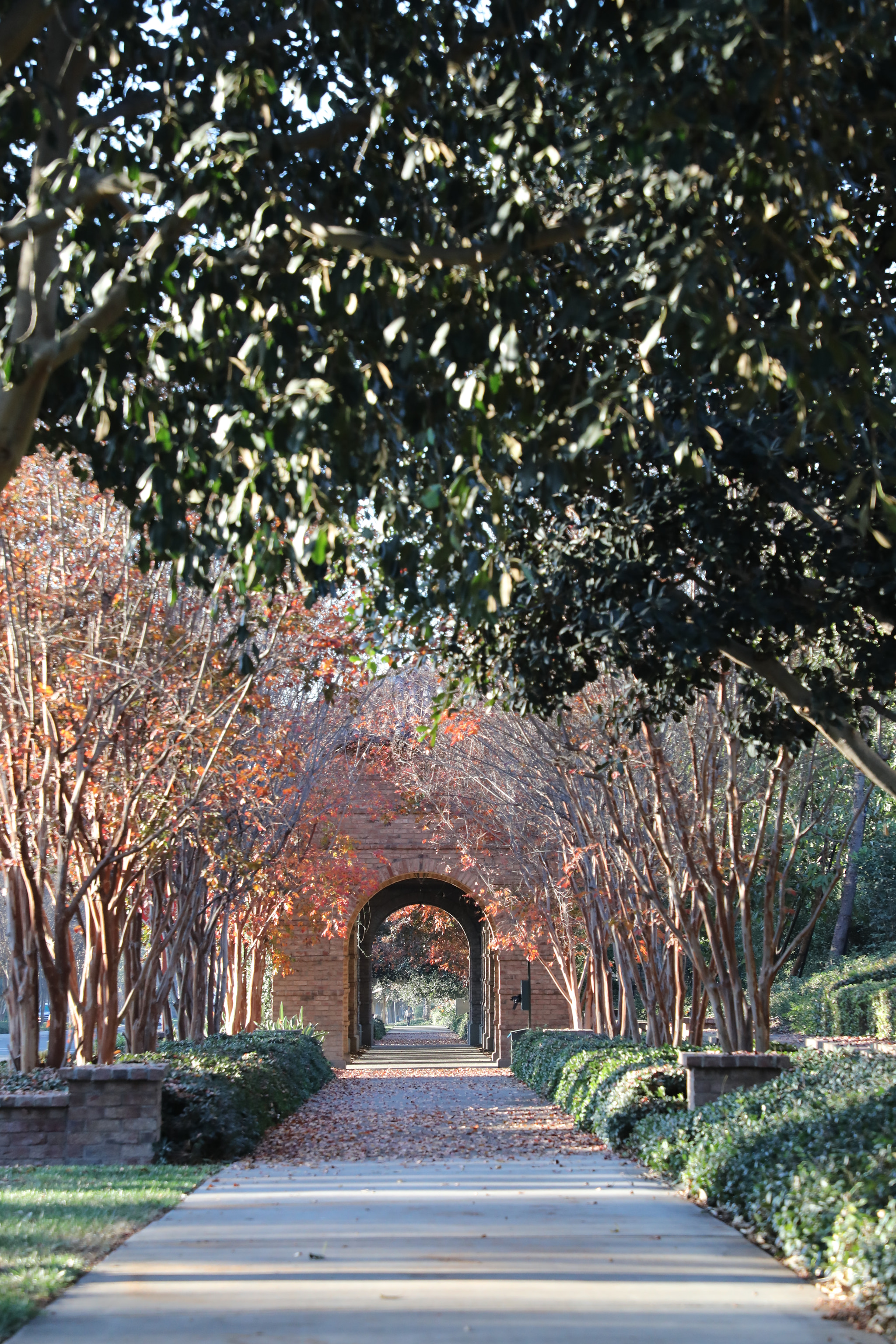 Canon EF 24-105mm F4L IS II USM sample photo. Fall walkway photography