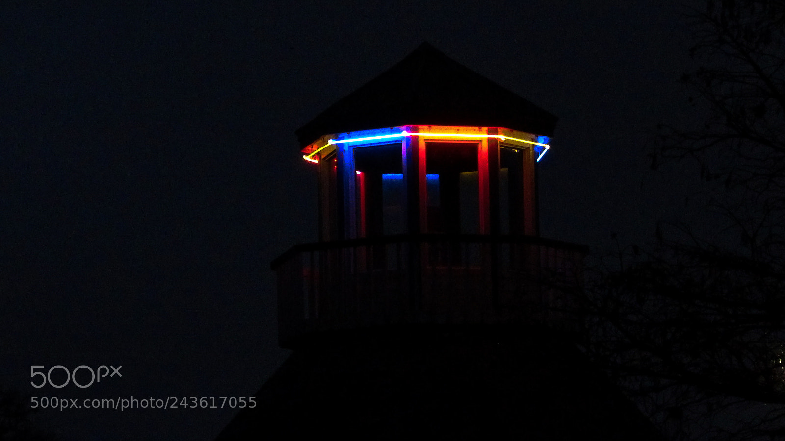 Canon PowerShot SX530 HS sample photo. Neon photography