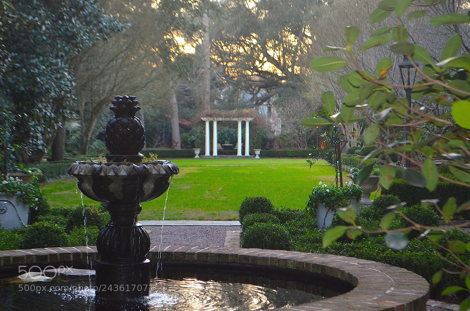Nikon D5100 sample photo. Charleston garden photography