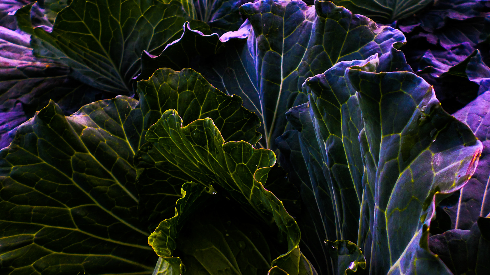 Samsung ST72/ST73 sample photo
