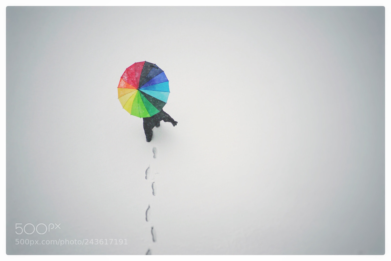 Sony a7 II sample photo. Colorful photography