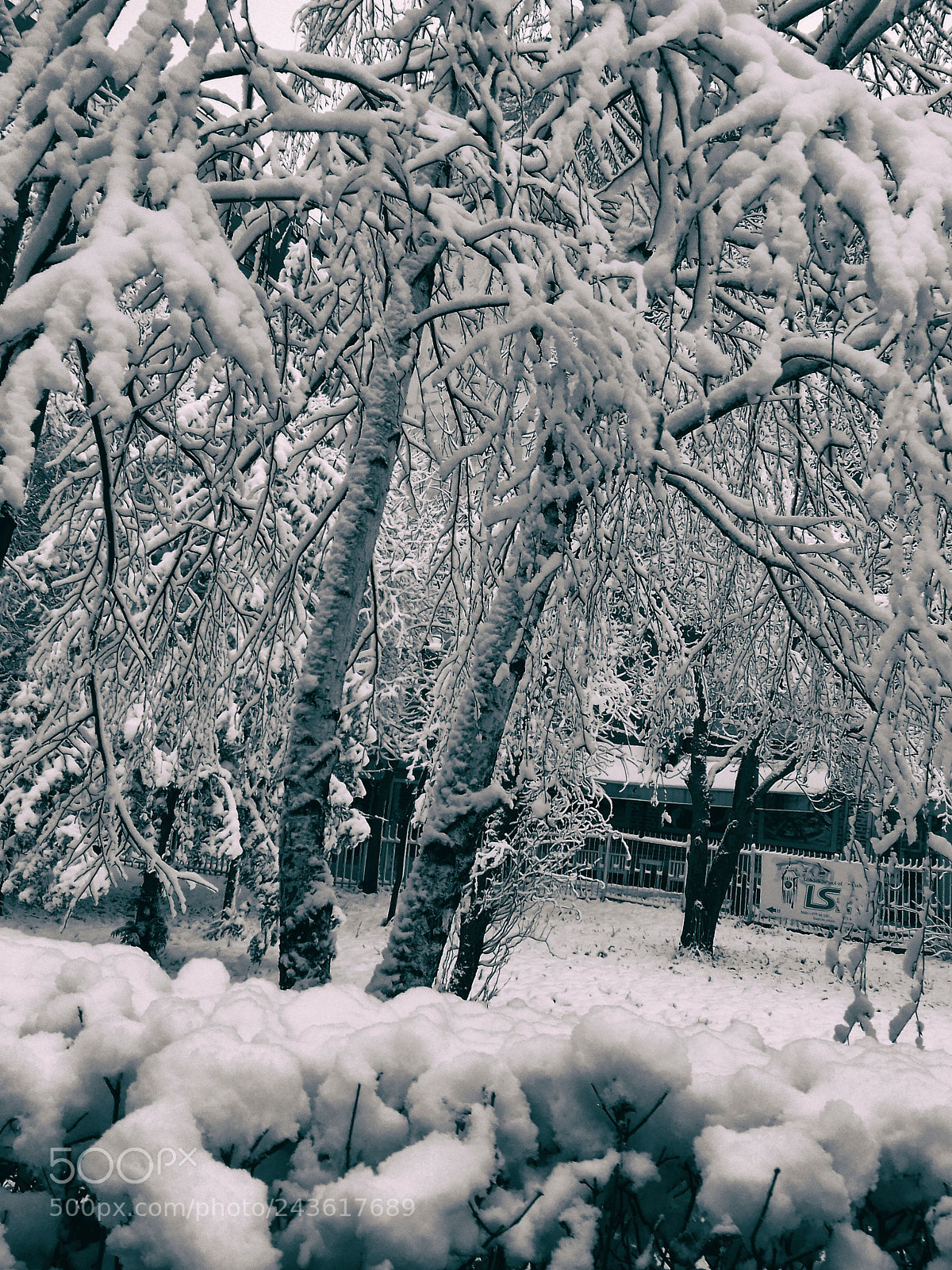 Samsung Galaxy J3(2016) sample photo. Snow photography