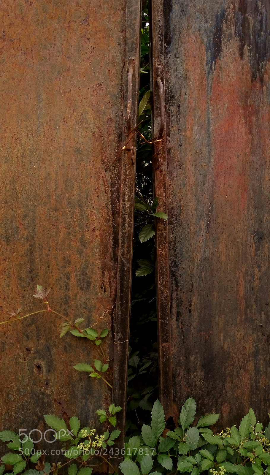 HTC D728X sample photo. Untitled photography