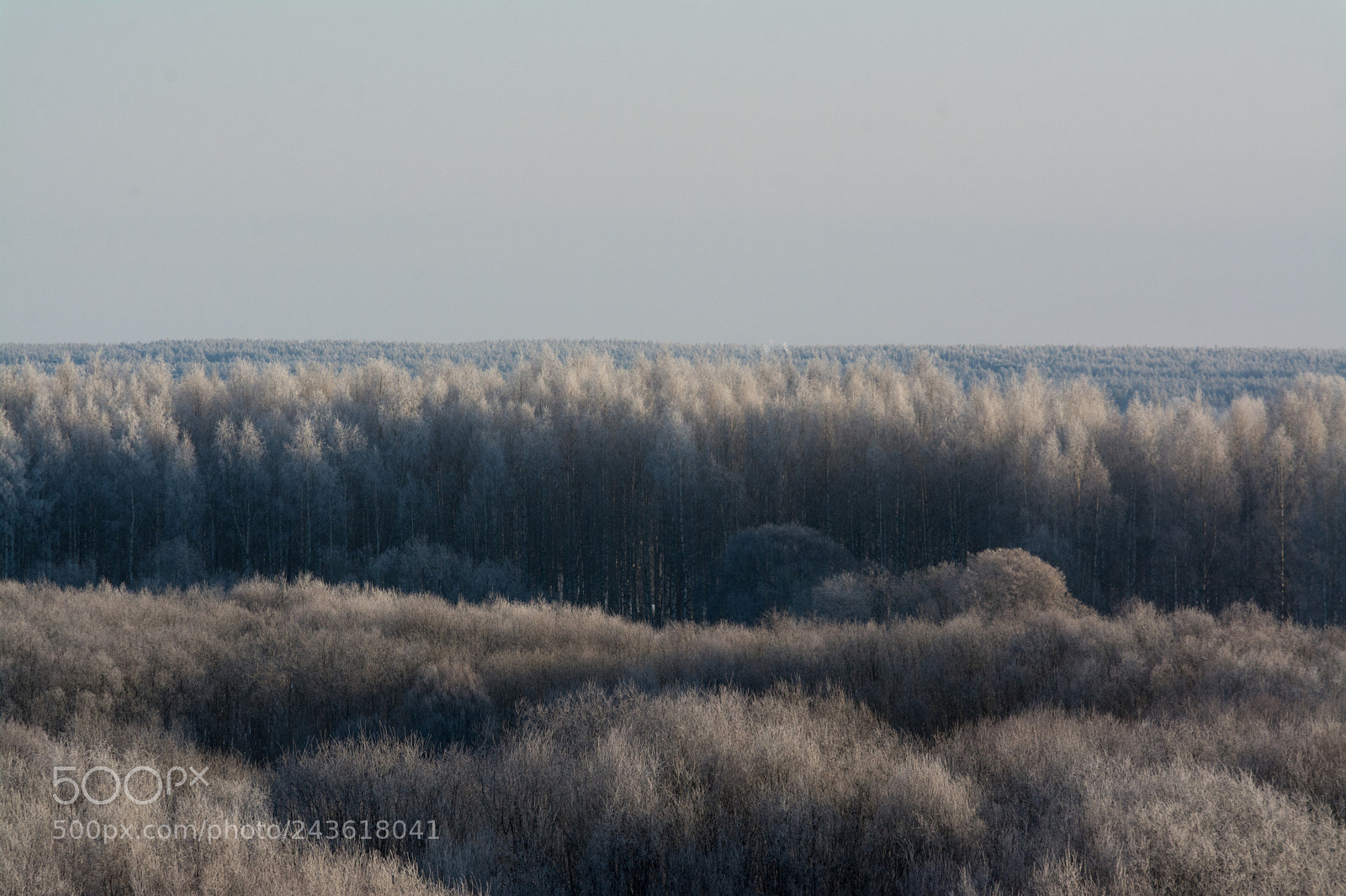 Nikon D7100 sample photo. Light white photography