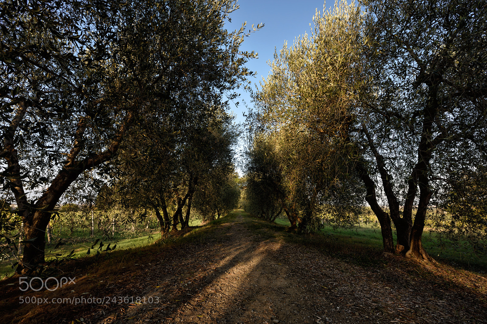 Nikon D810 sample photo. Lovely nature photography