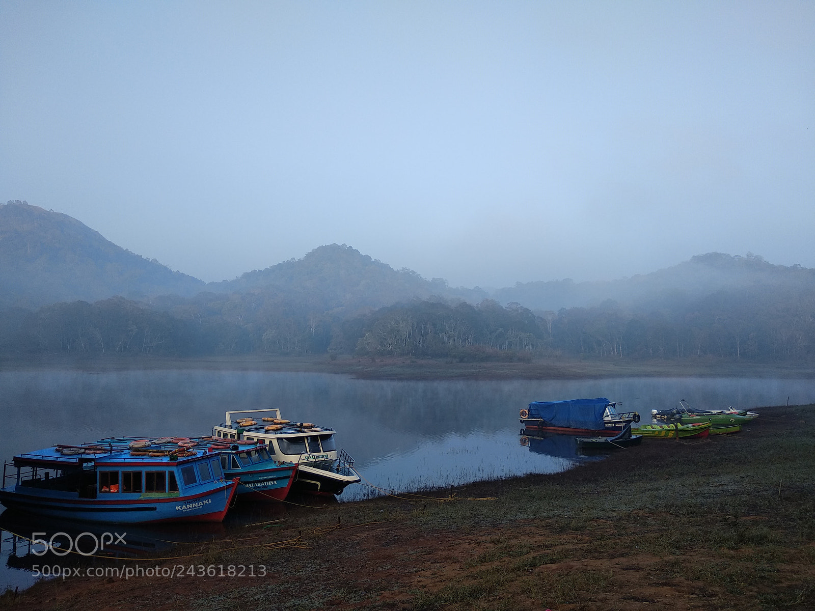 Xiaomi Mi A1 sample photo. Jungle lake photography