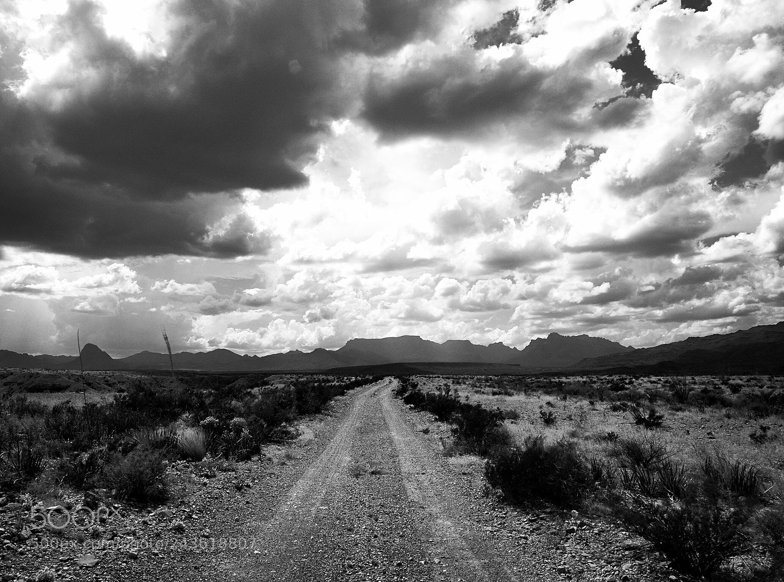 Olympus OM-D E-M5 II sample photo. Road less traveled photography