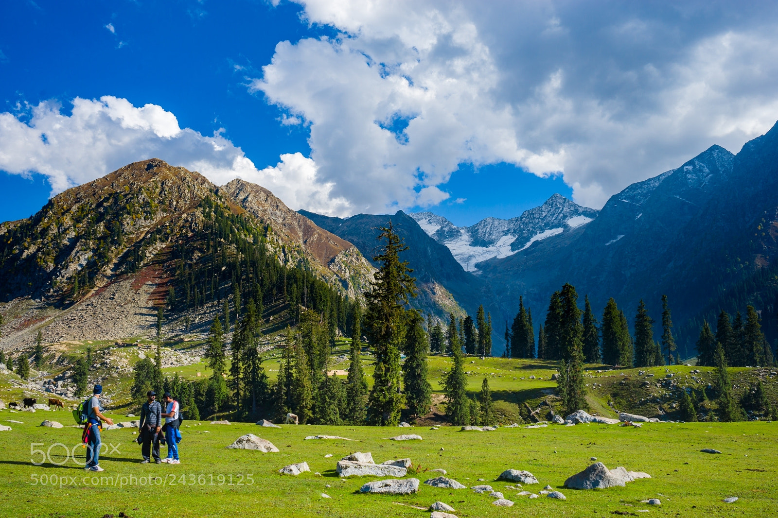 Sony a7 sample photo. Jahaz banda photography
