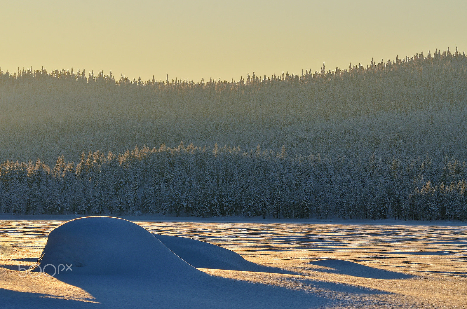 Nikon D5100 + Tamron SP AF 70-200mm F2.8 Di LD (IF) MACRO sample photo. Winter light in lapland photography