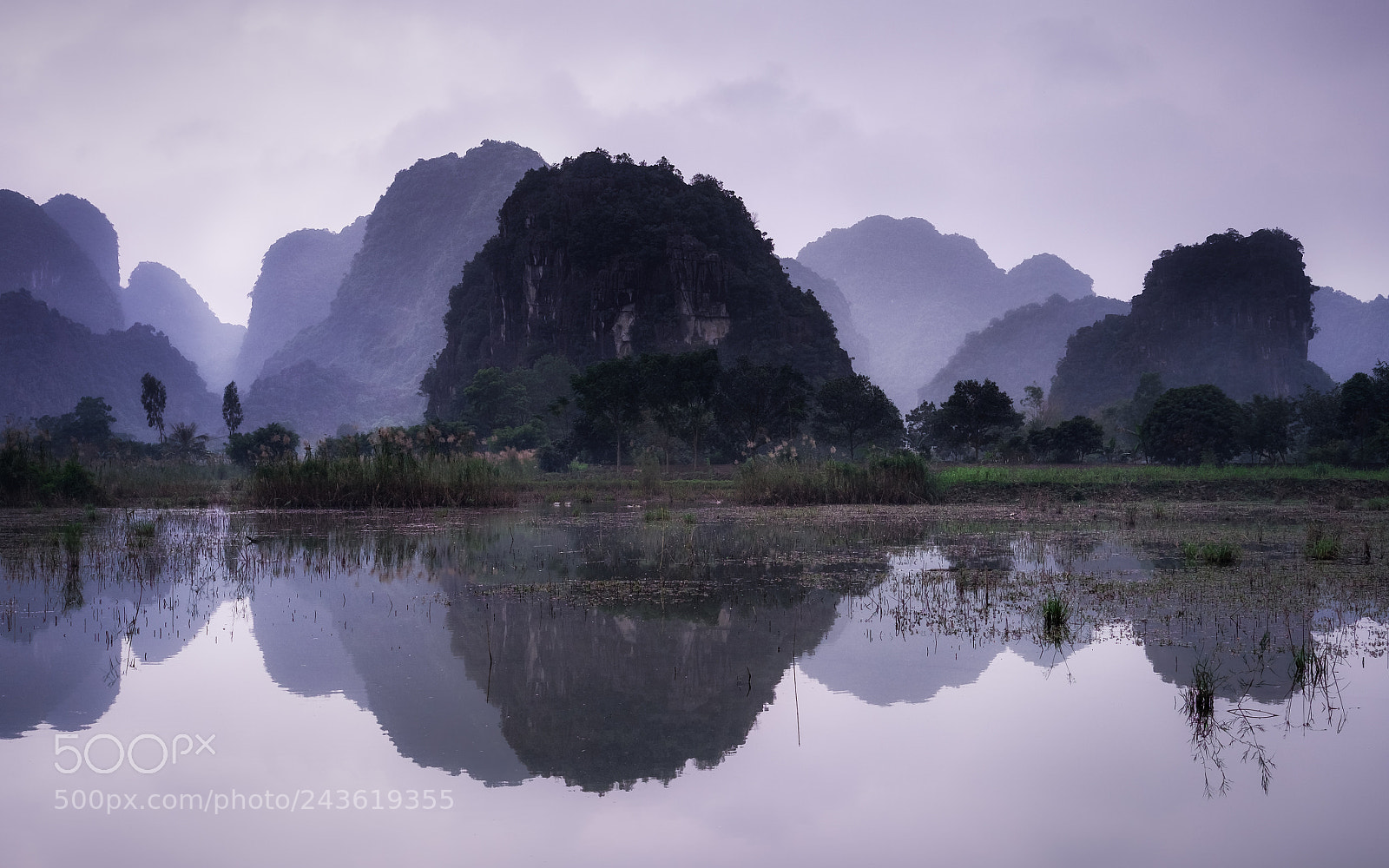 Fujifilm X-Pro1 sample photo. Allant droit de l'envers photography