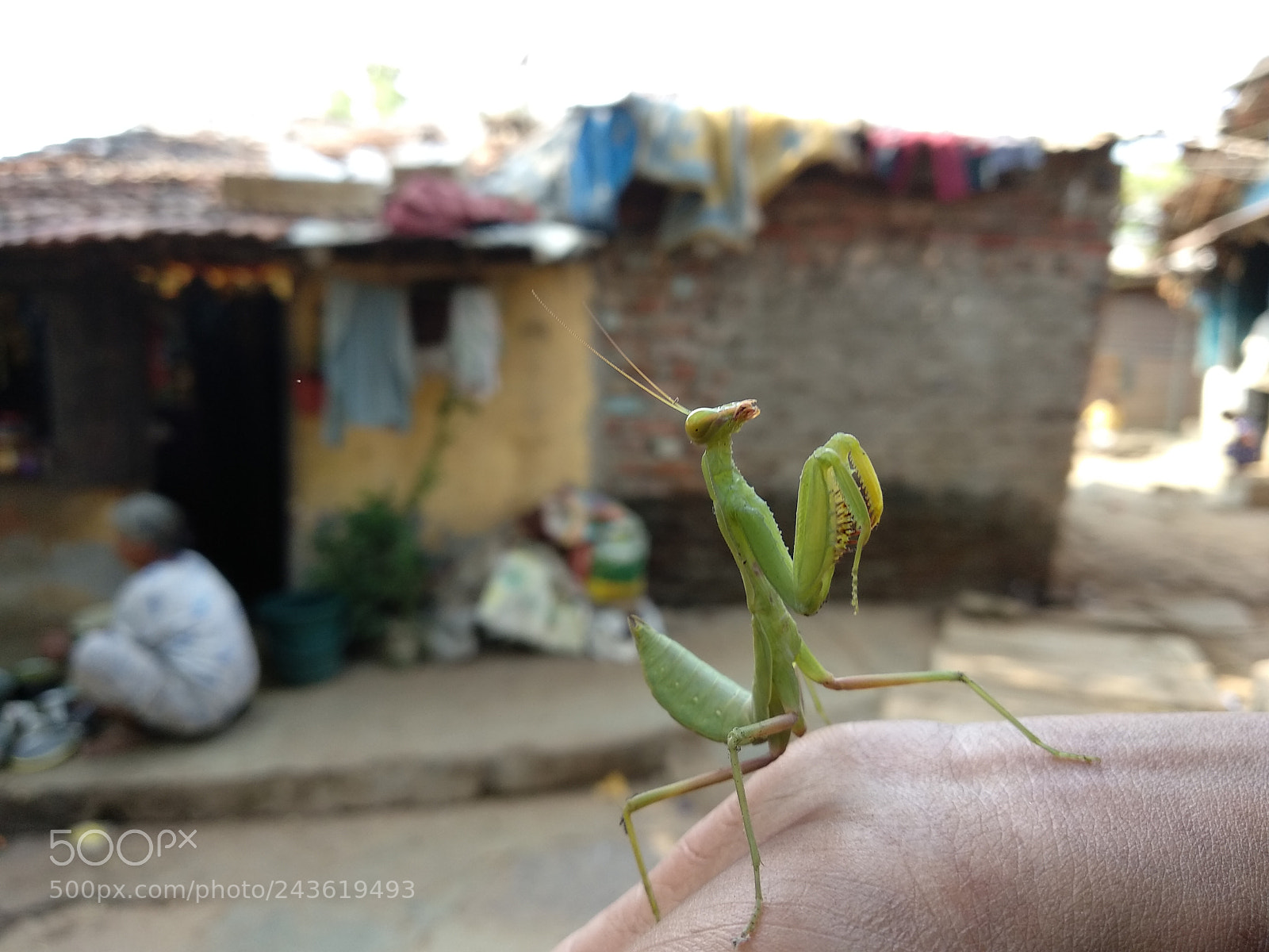 Xiaomi Mi A1 sample photo. Untitled photography