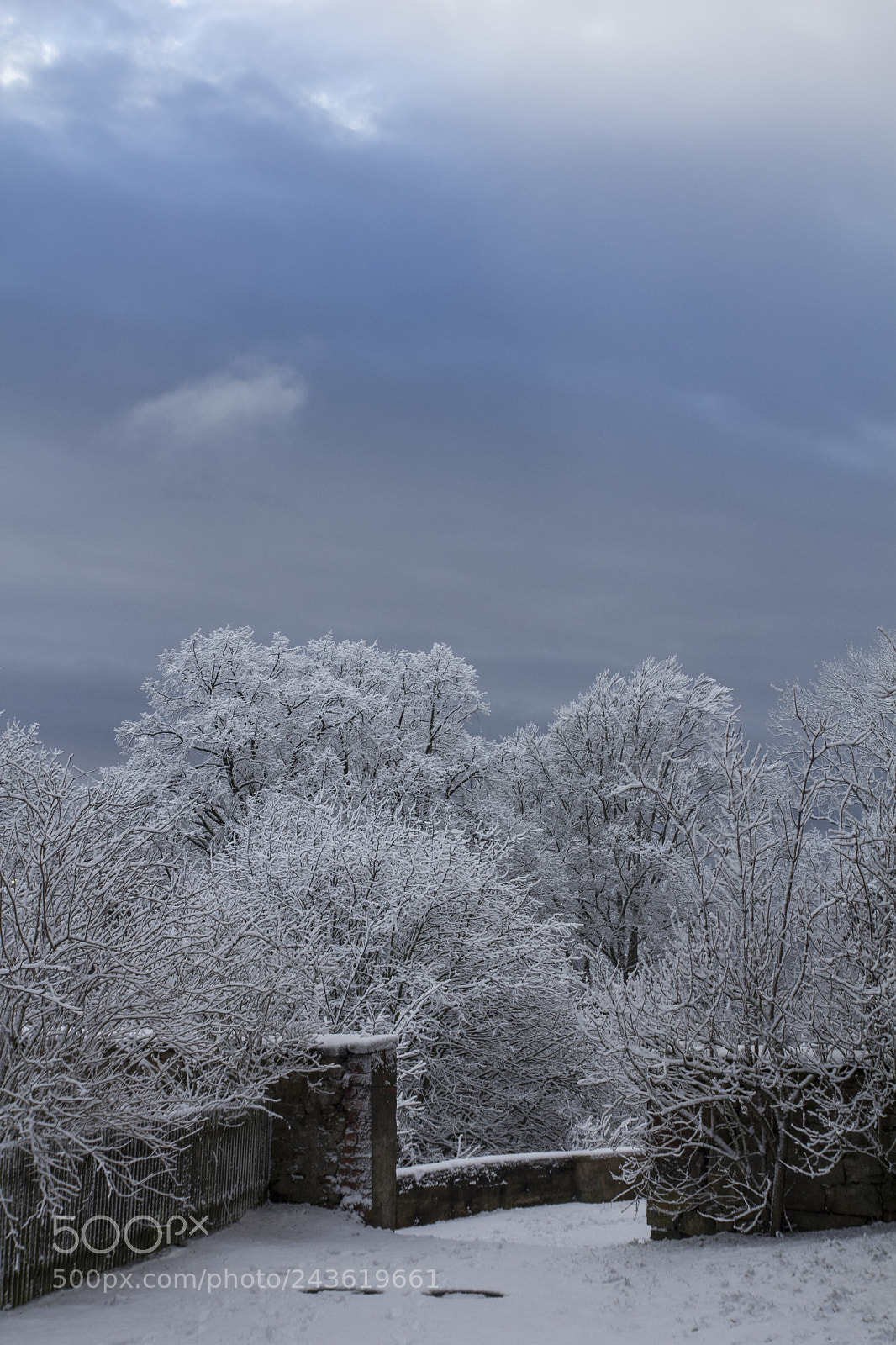 Canon EOS 60D sample photo. Winterwonderland photography