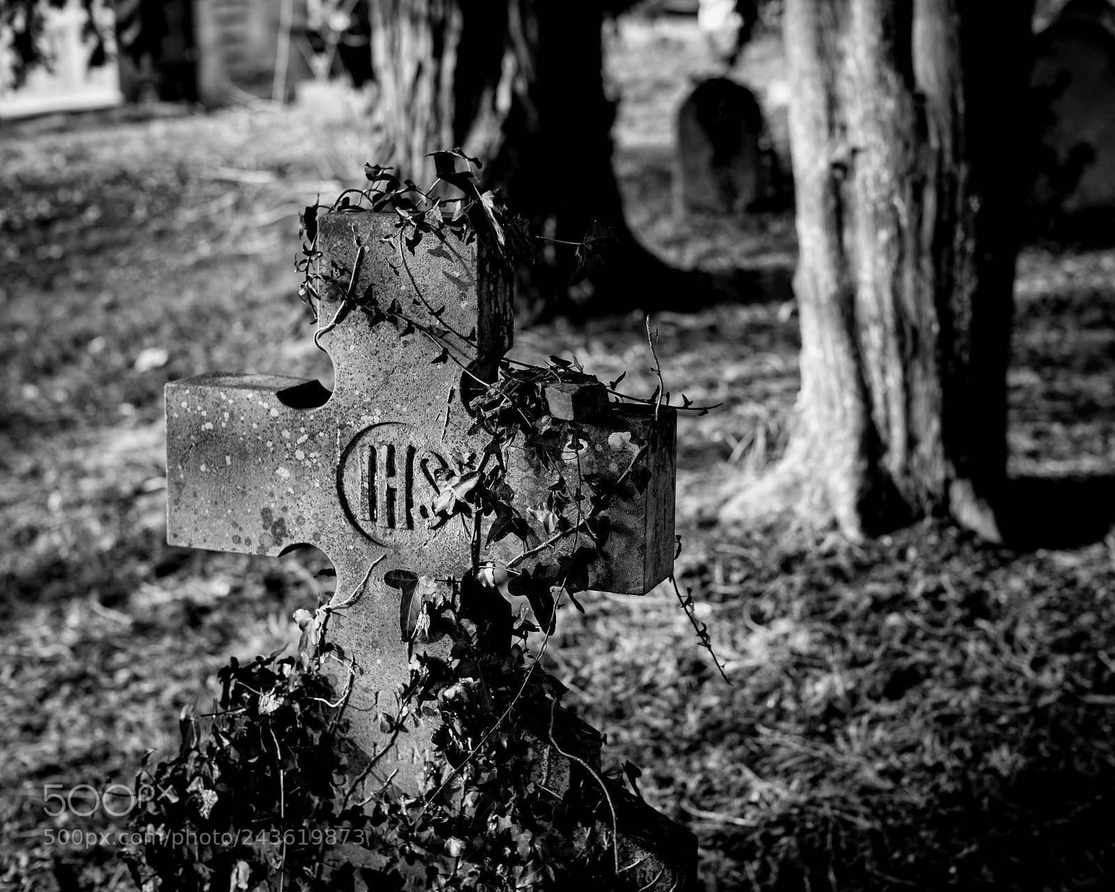 Leica M (Typ 240) sample photo. Reclamation photography