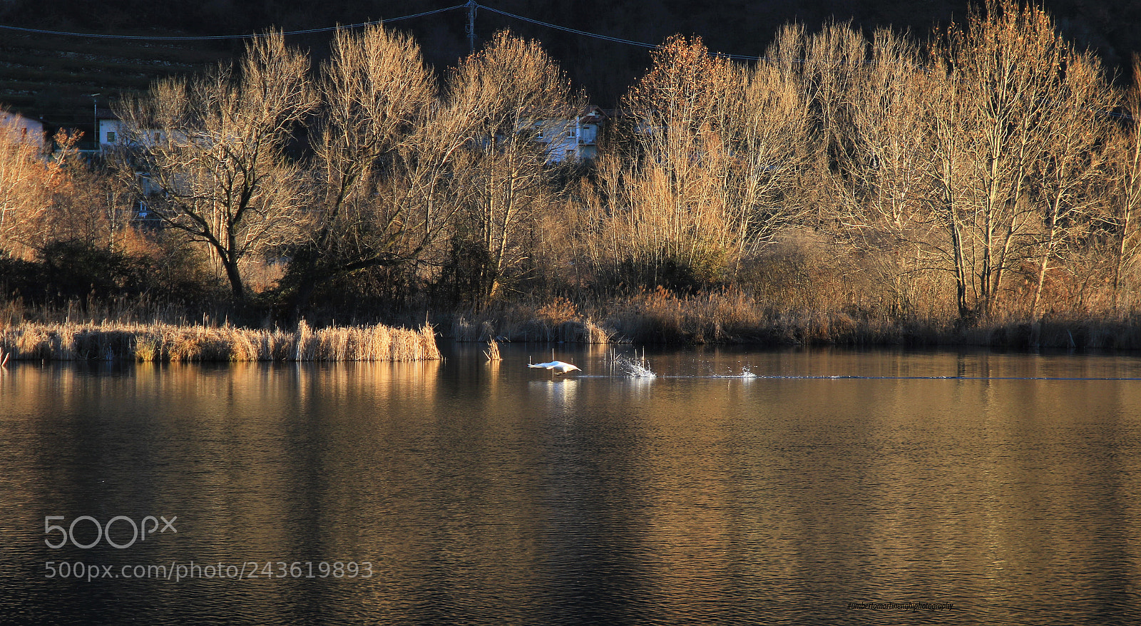Canon EOS 7D Mark II sample photo. Nature photography