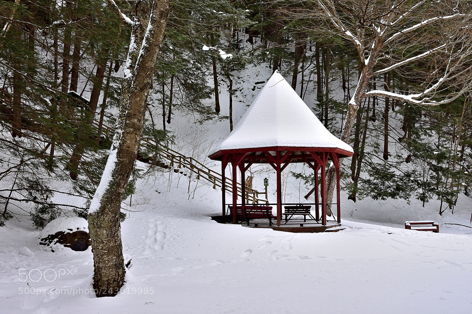 Nikon 1 J5 sample photo. Winter gazebo photography