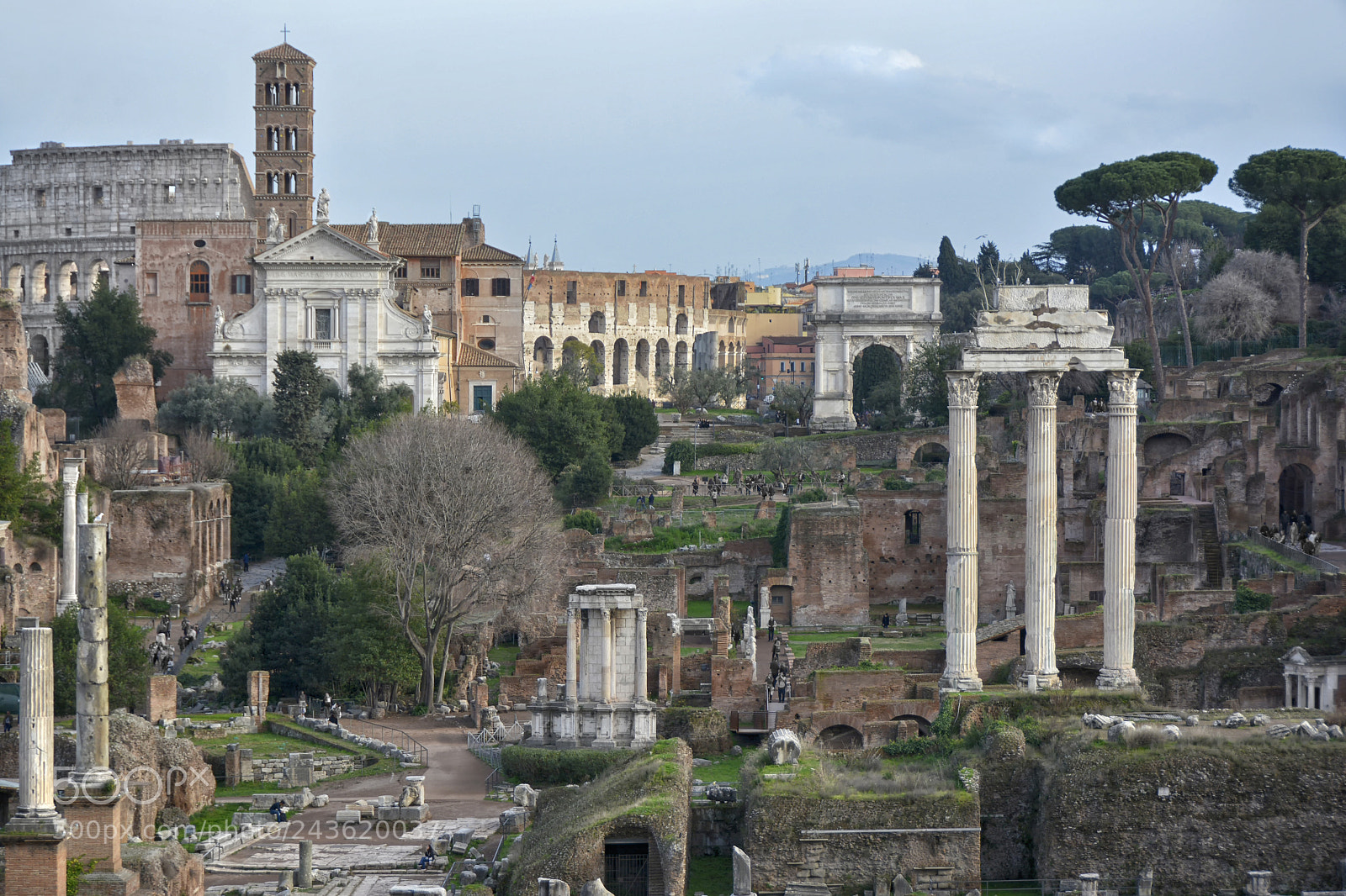 Nikon D7100 sample photo. Forum romanum photography