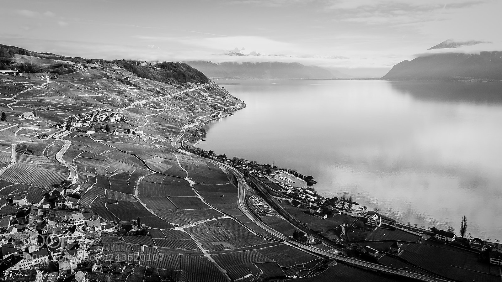 DJI FC220 sample photo. Lavaux photography