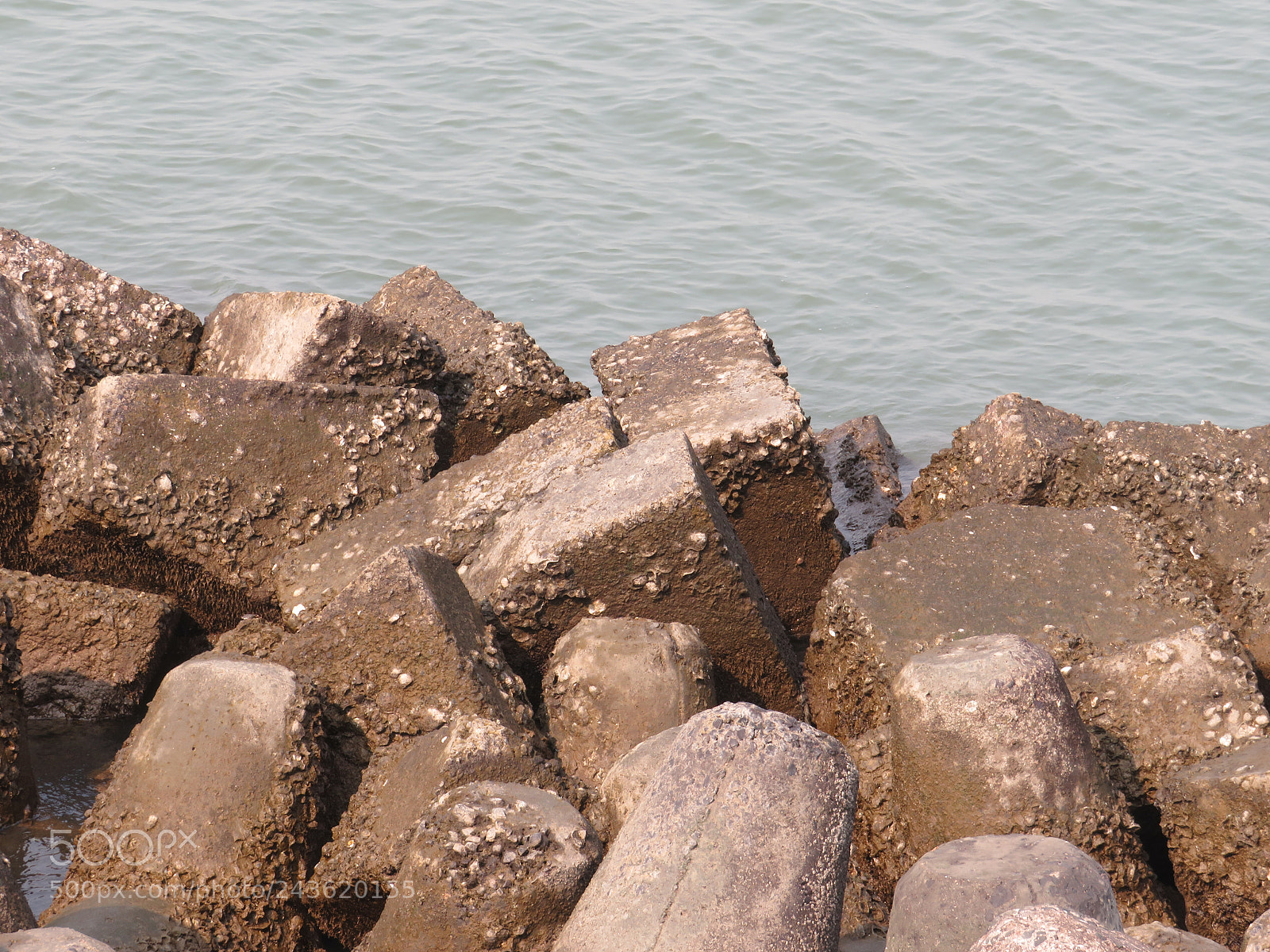 Canon PowerShot SX540 HS sample photo. Mumbai visit photography