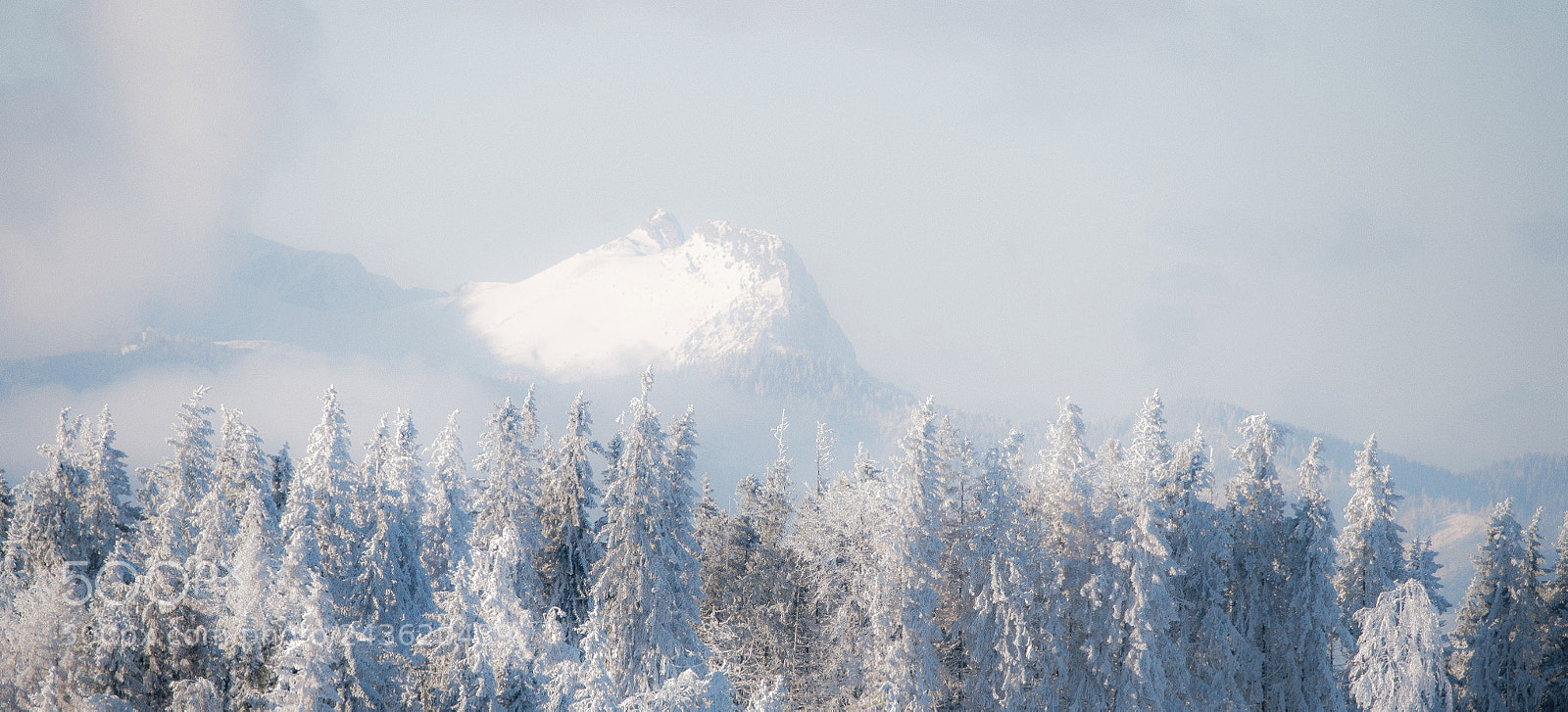 Nikon D850 sample photo. Winter photography