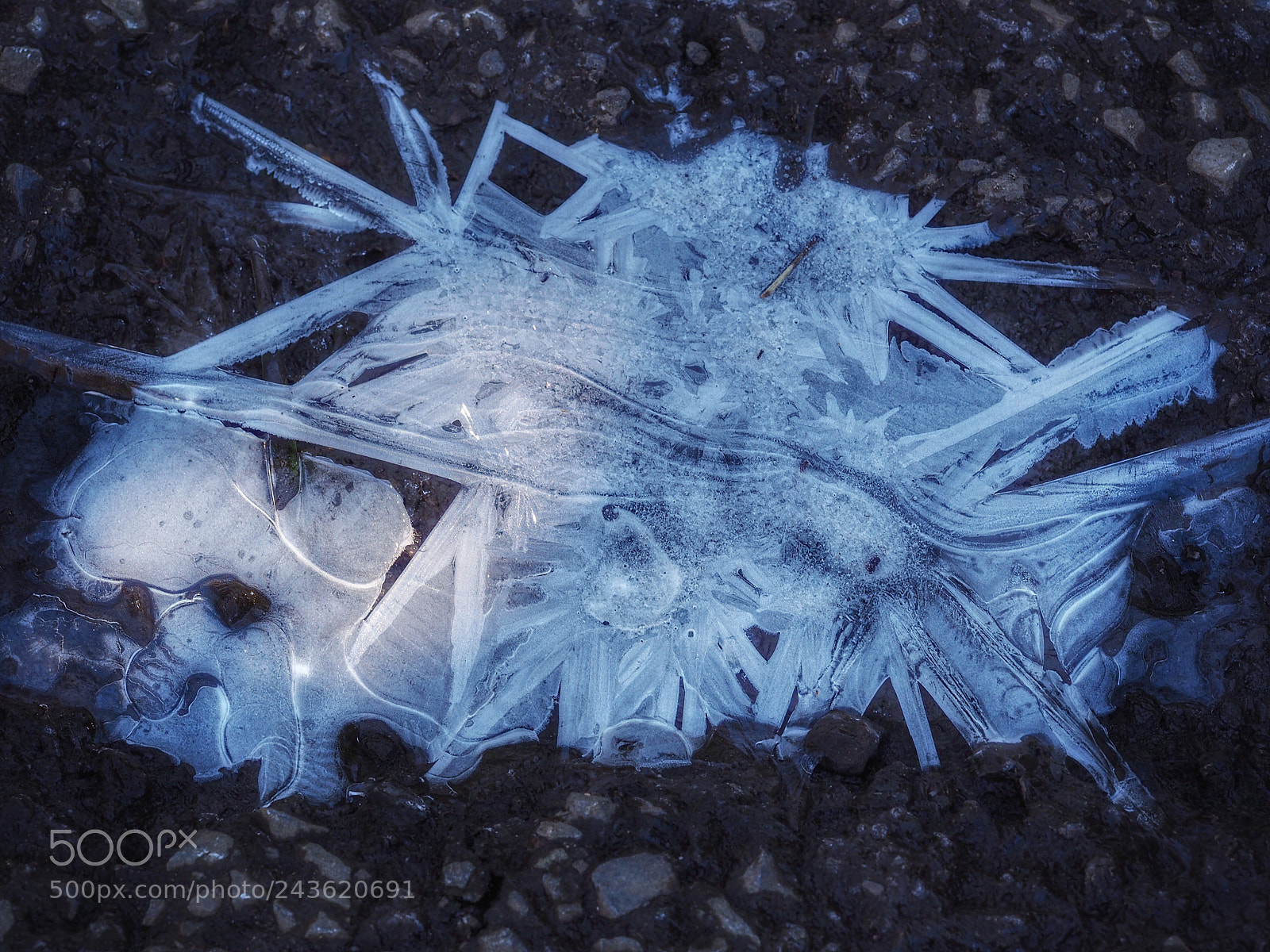 Olympus PEN E-PL7 sample photo. Black ice photography