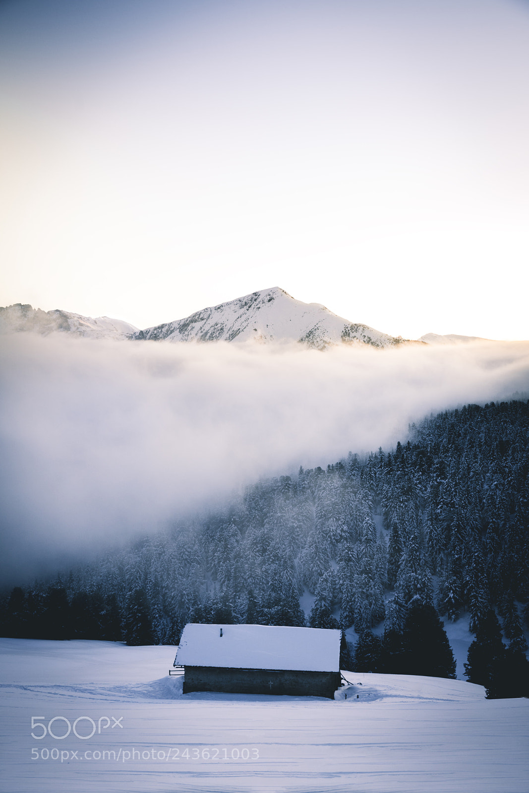 Sony a7R III sample photo. Dream cabin photography