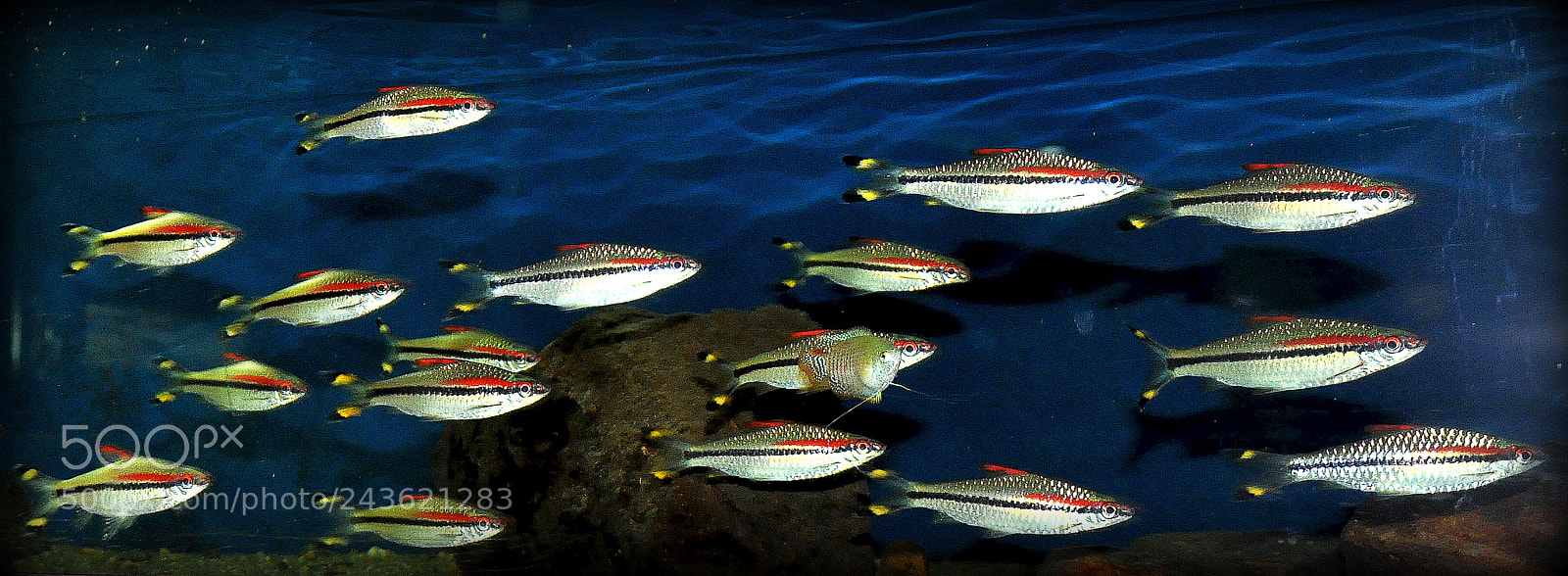 Nikon D90 sample photo. De photography